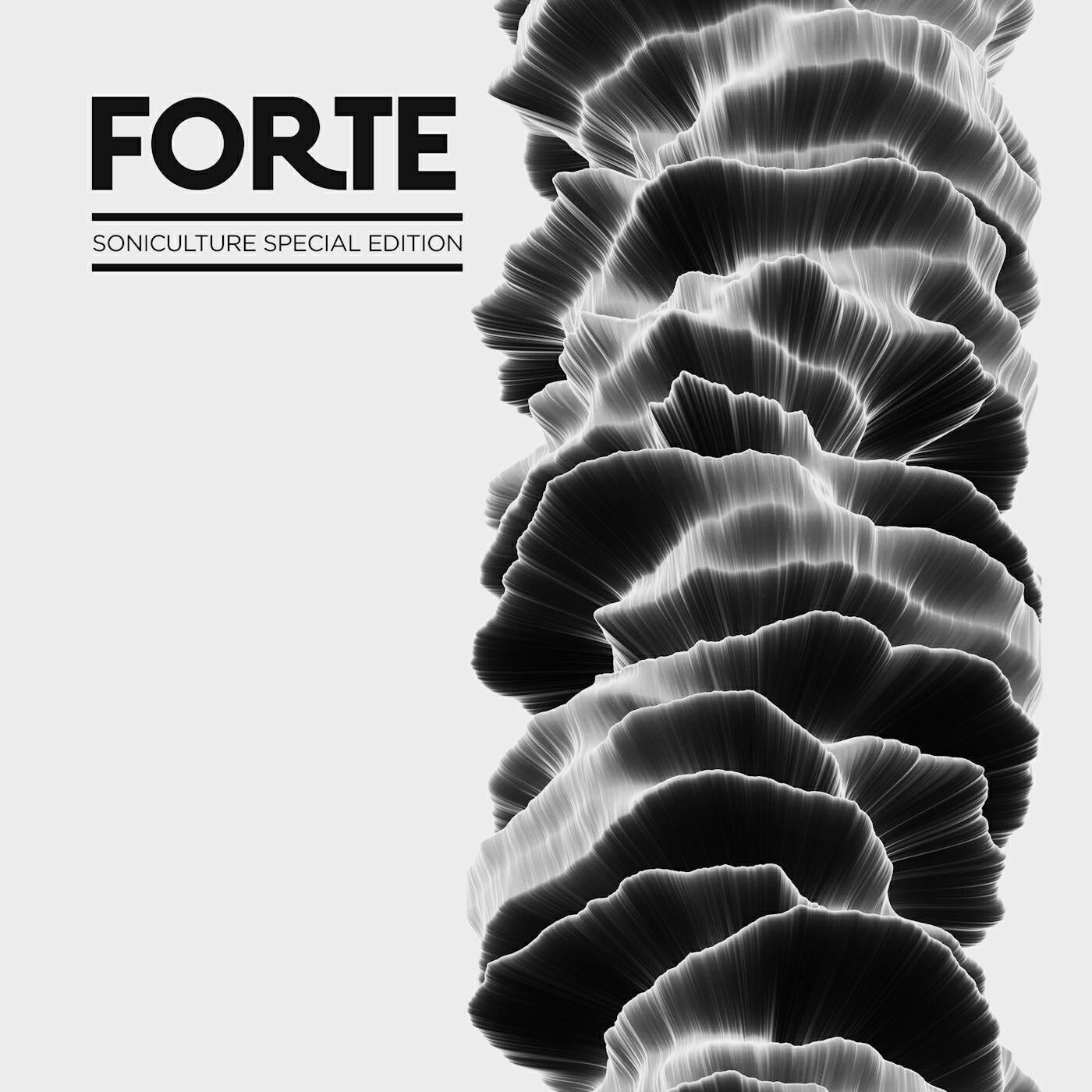 Релиз How Forte Are You