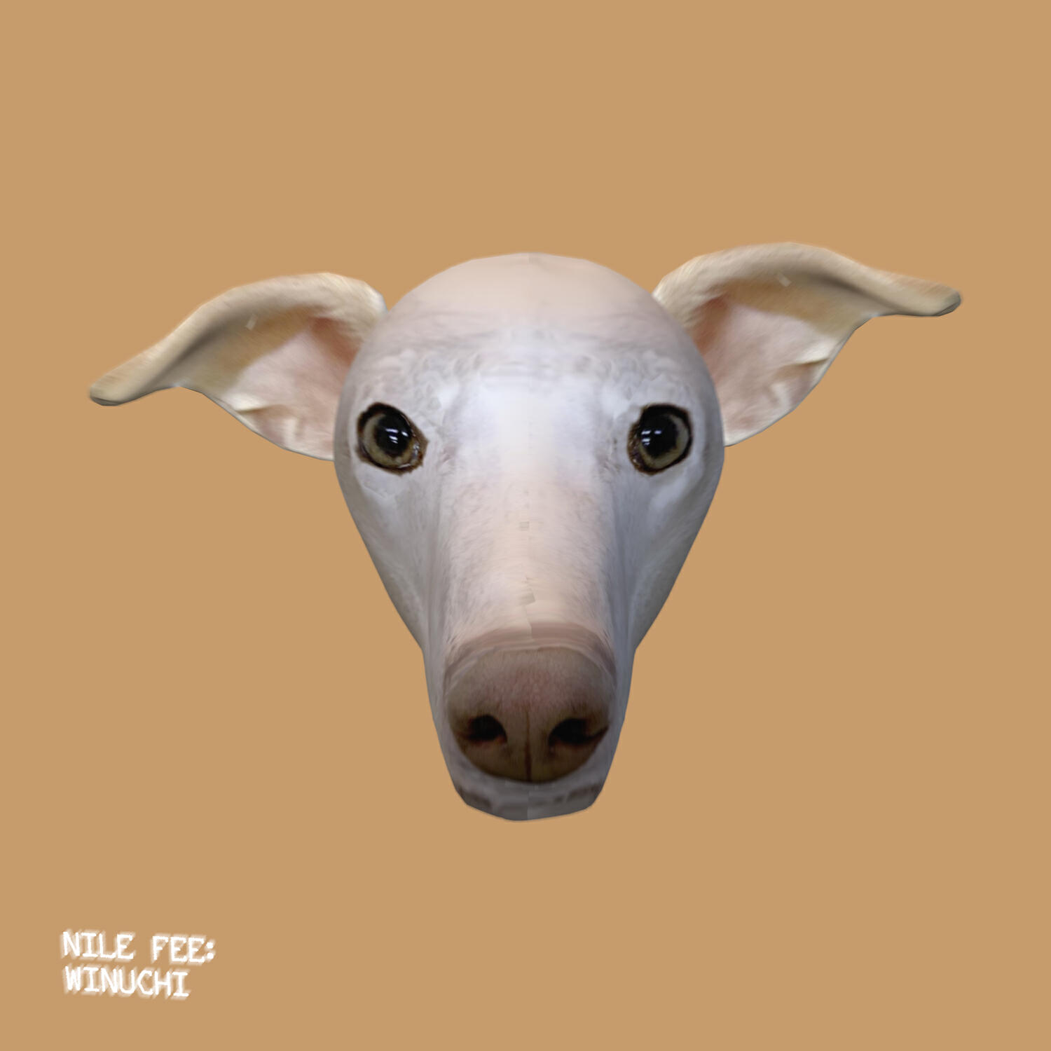 Nile Fee