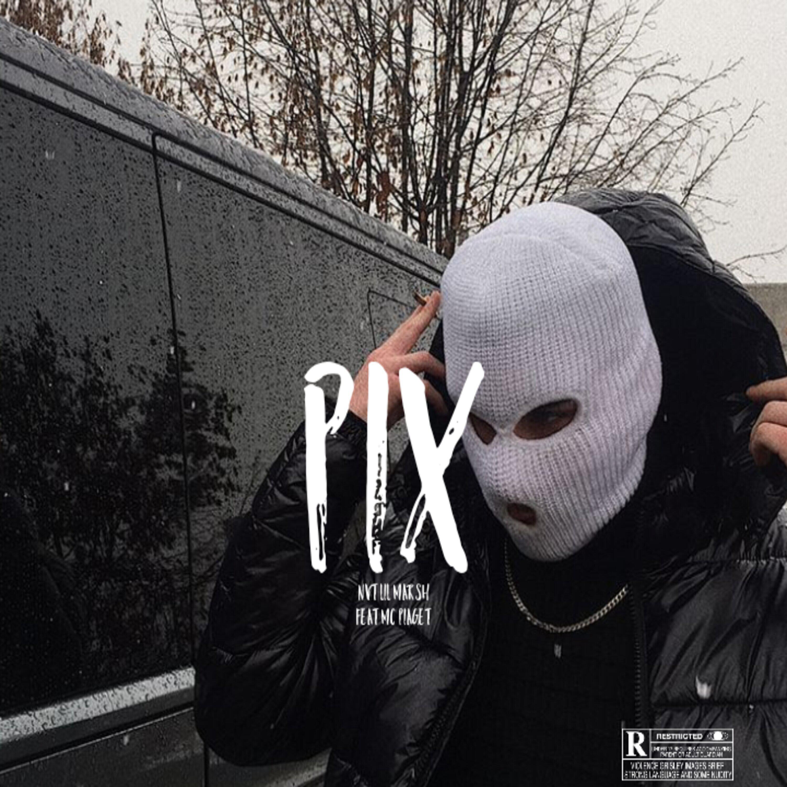 Постер альбома Pix