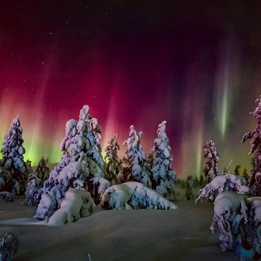 Релиз Wintersauce