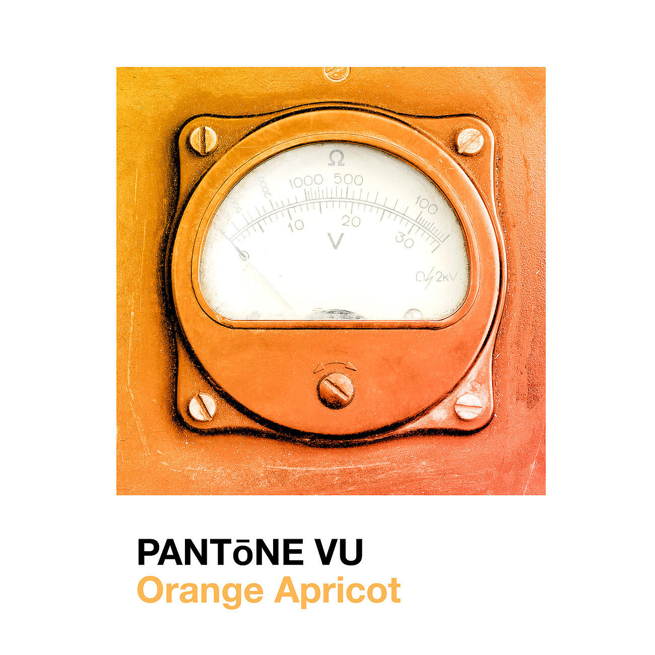 Релиз Orange Apricot