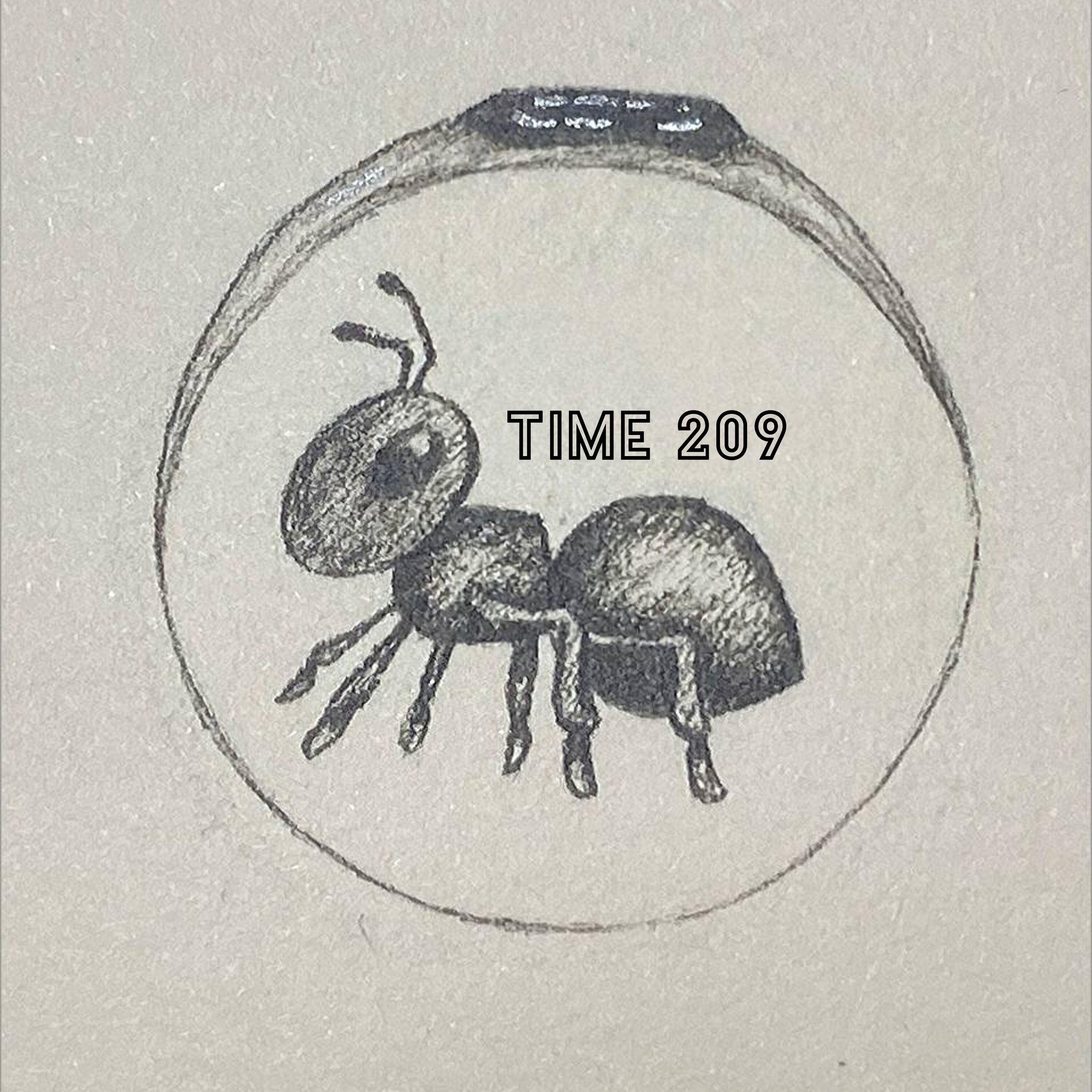 Релиз TIME 209