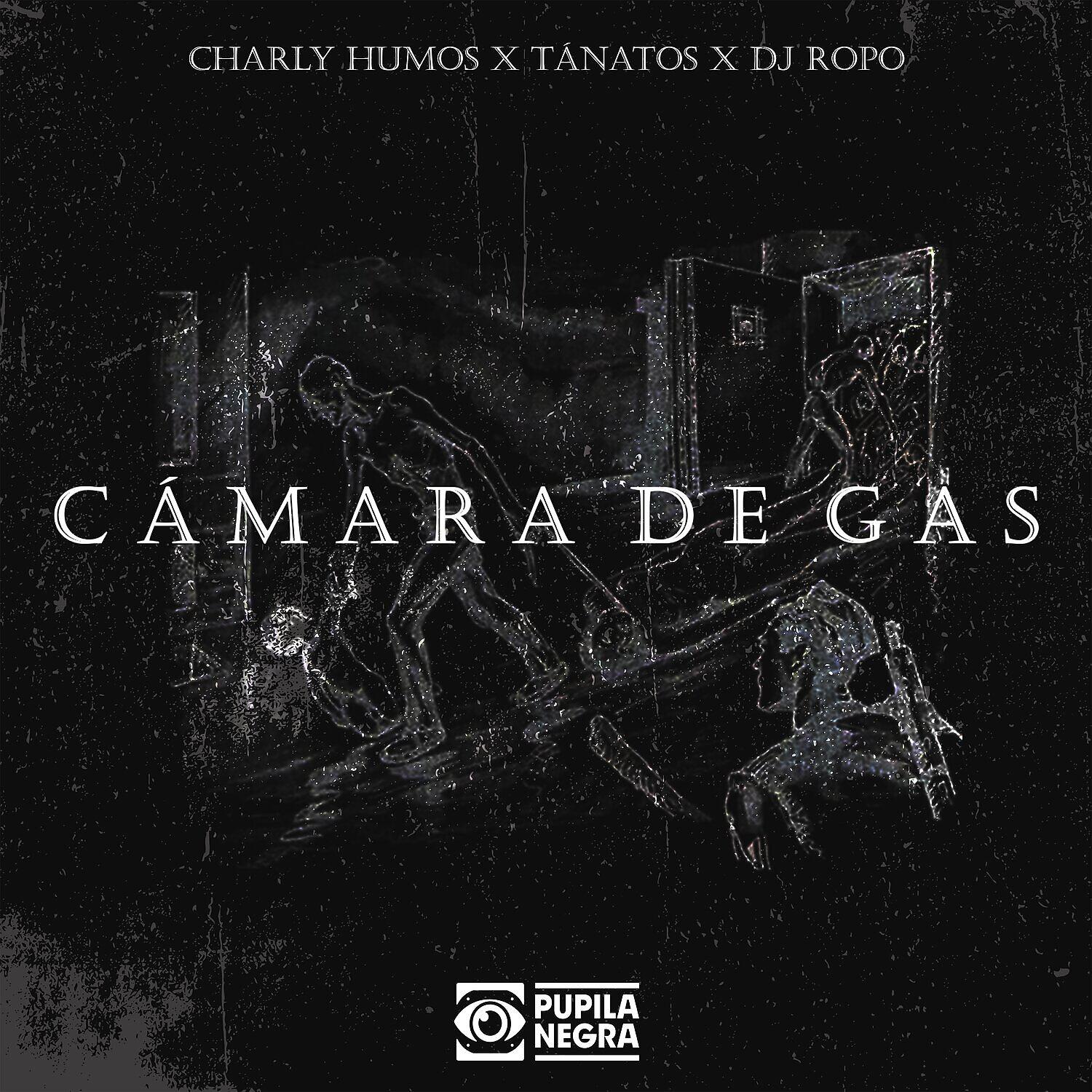 Релиз Camara De Gas (feat. Dj Ropo)