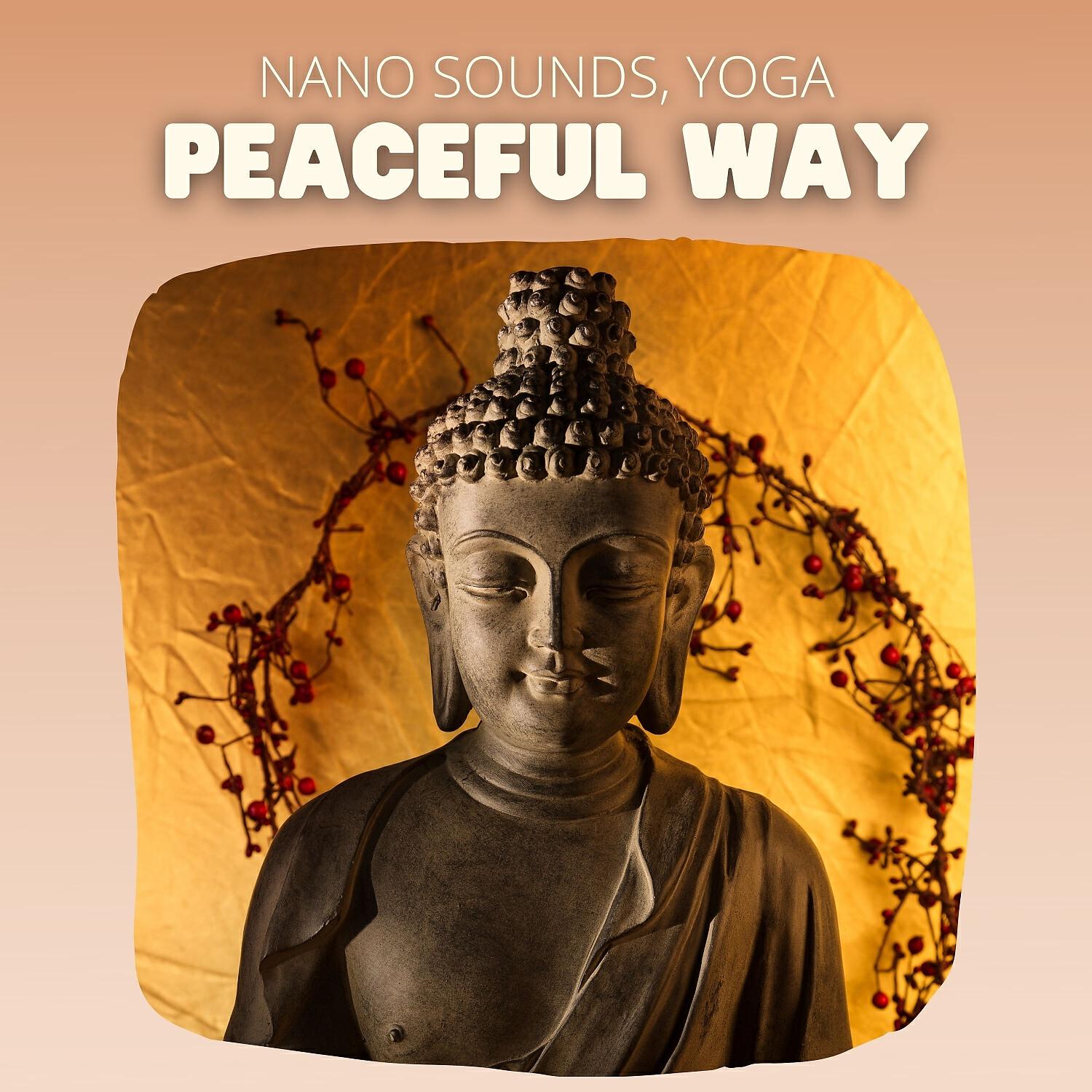 Постер альбома Peaceful Way