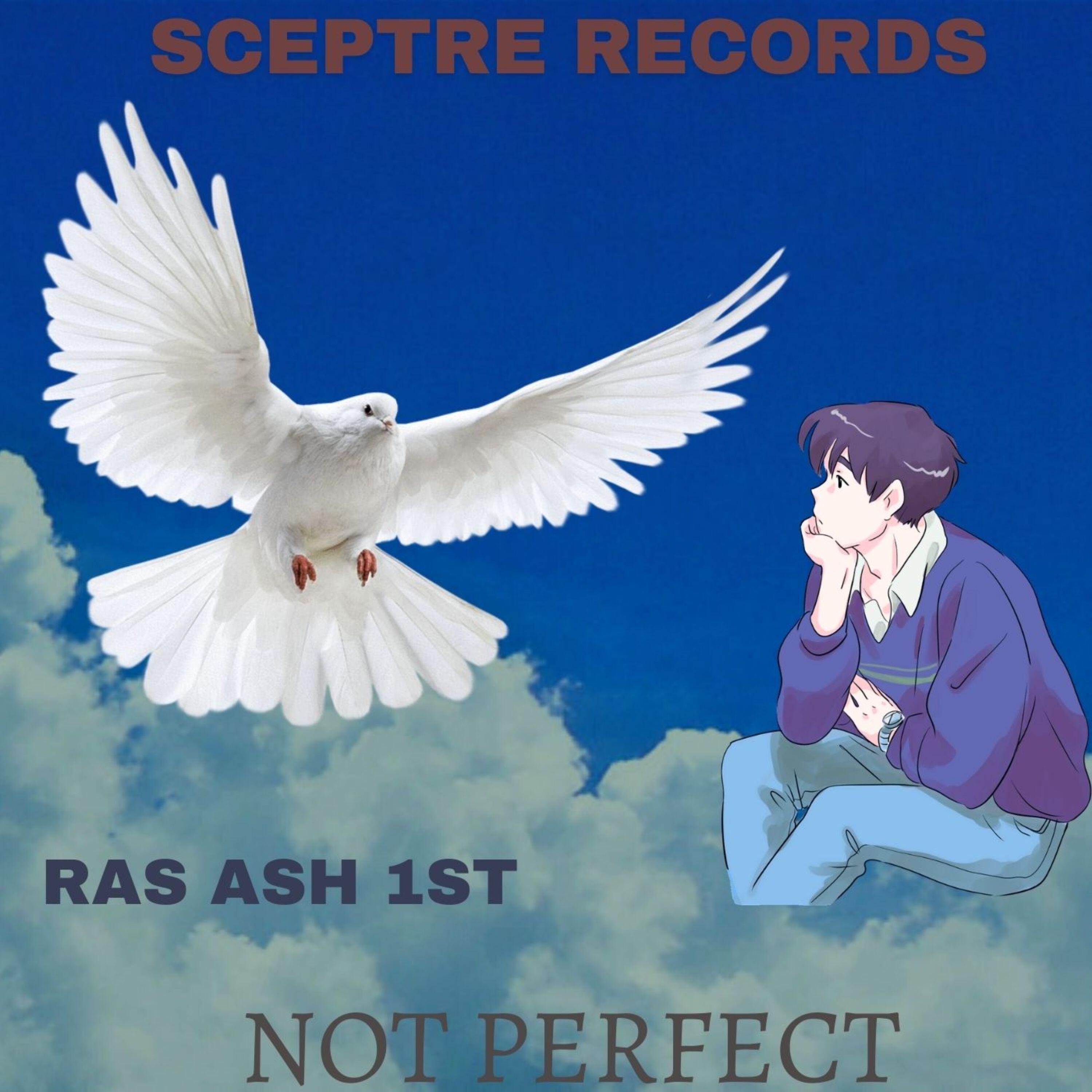 Релиз Not Perfect