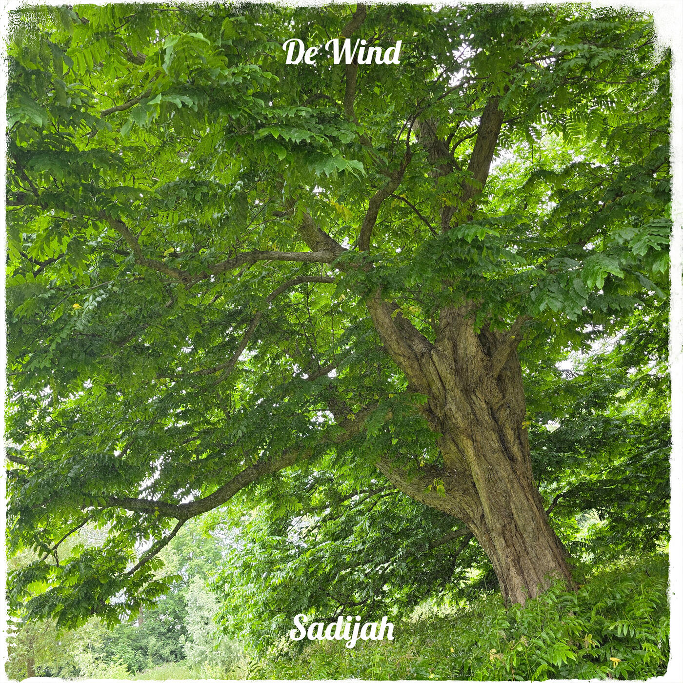 Релиз De Wind