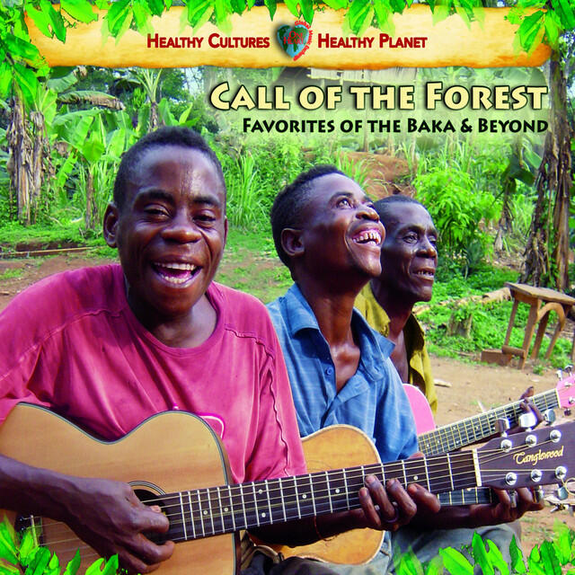Релиз Call of the Forest