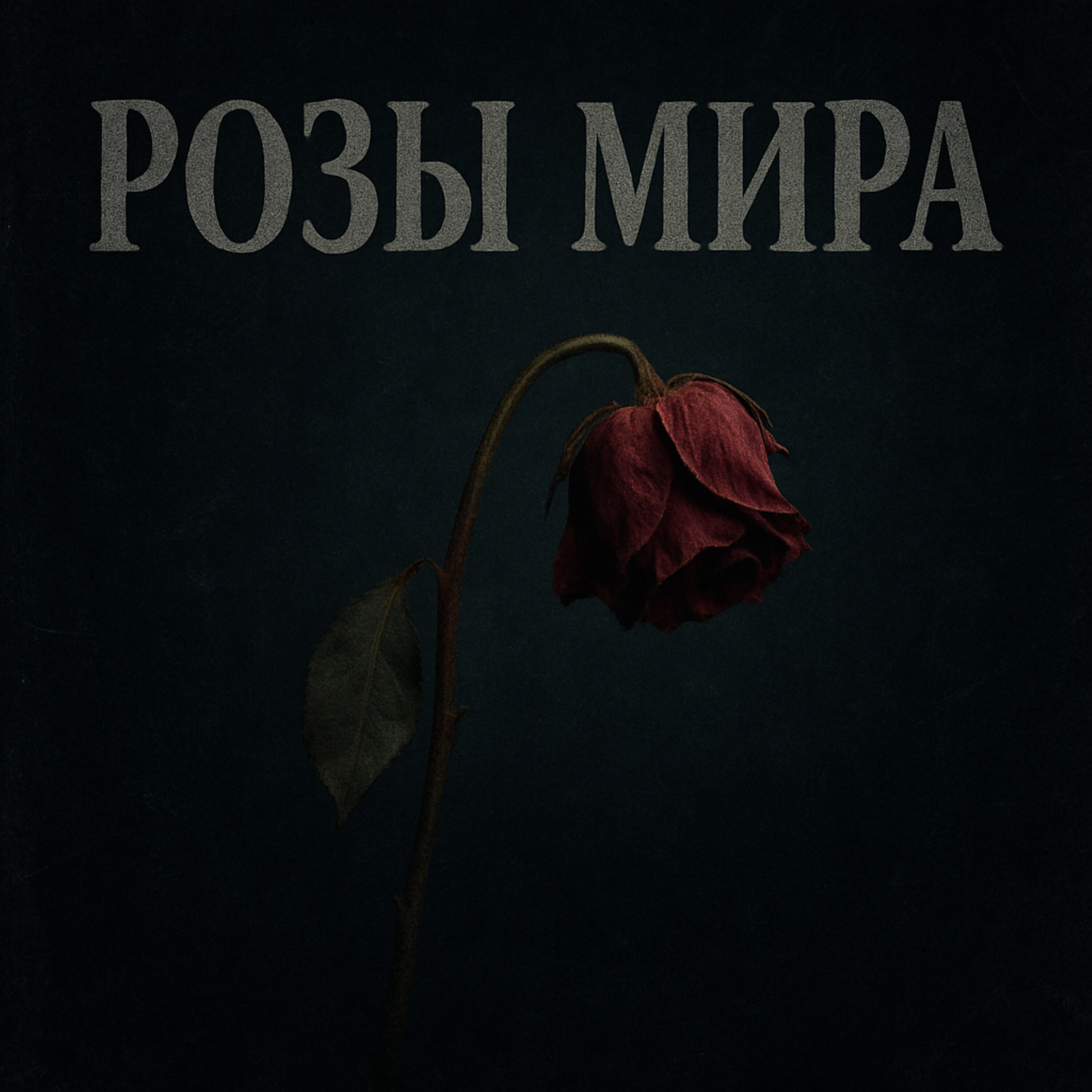 Релиз Розы мира