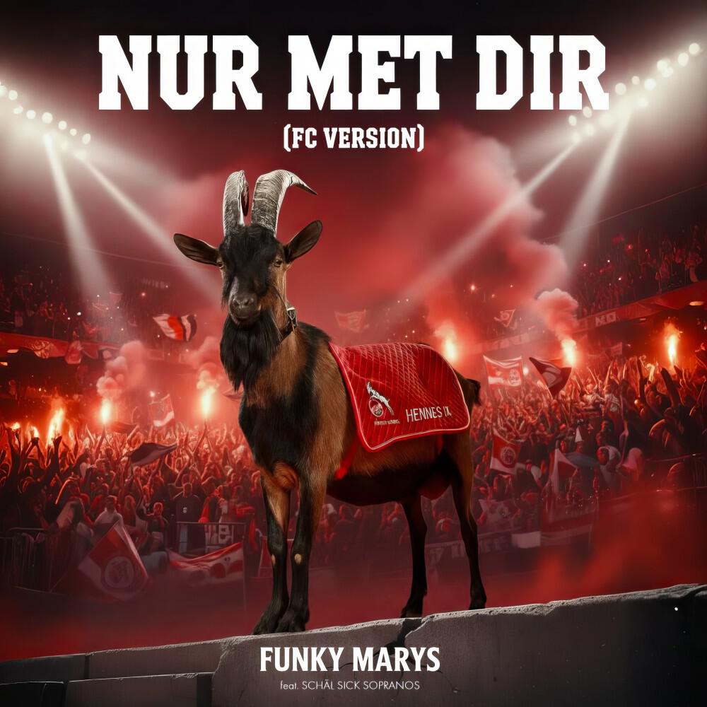 Релиз Nur met Dir (FC Version)