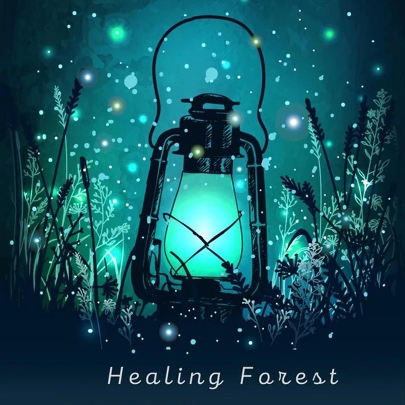 Релиз Healing Forest