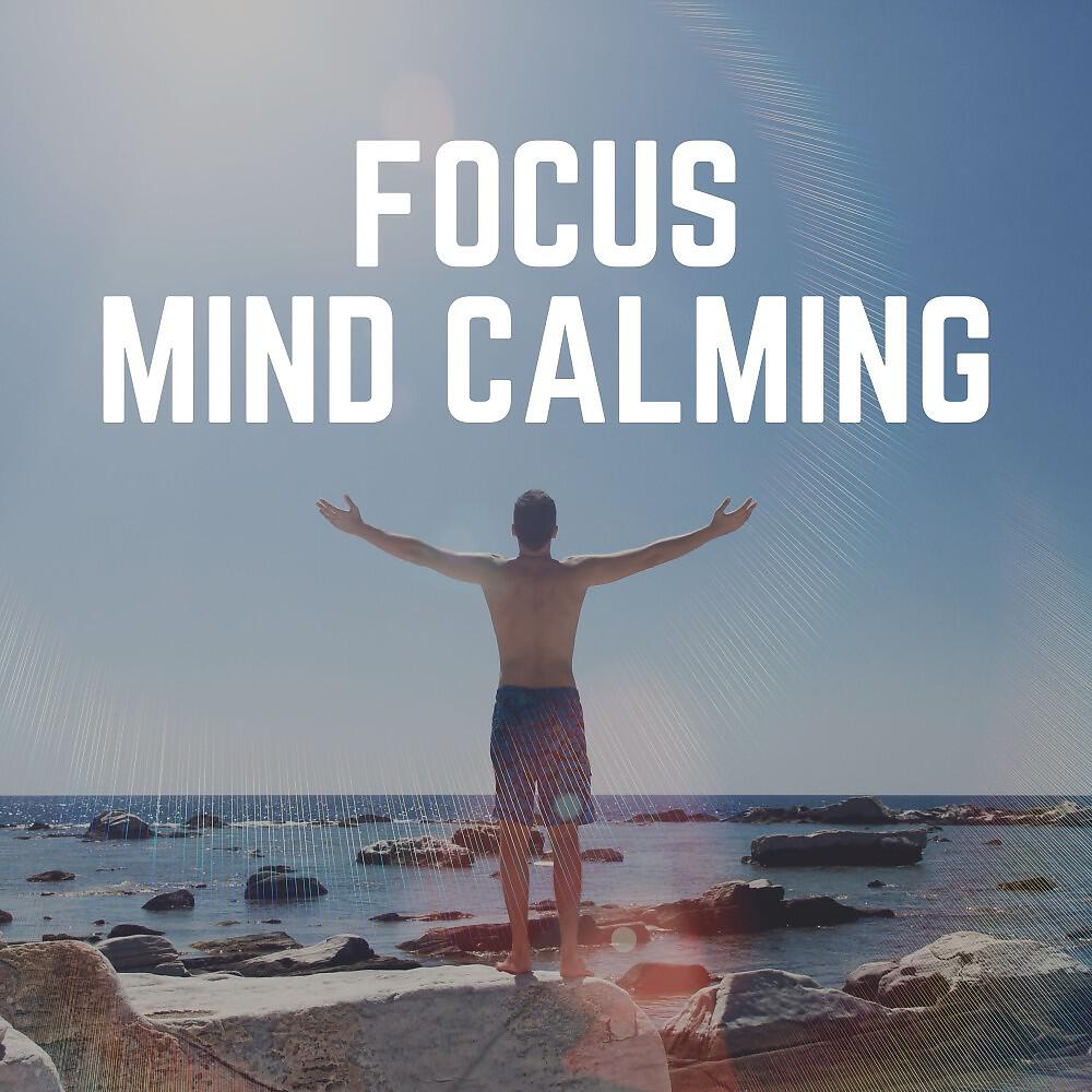 Релиз Focus Mind Calming