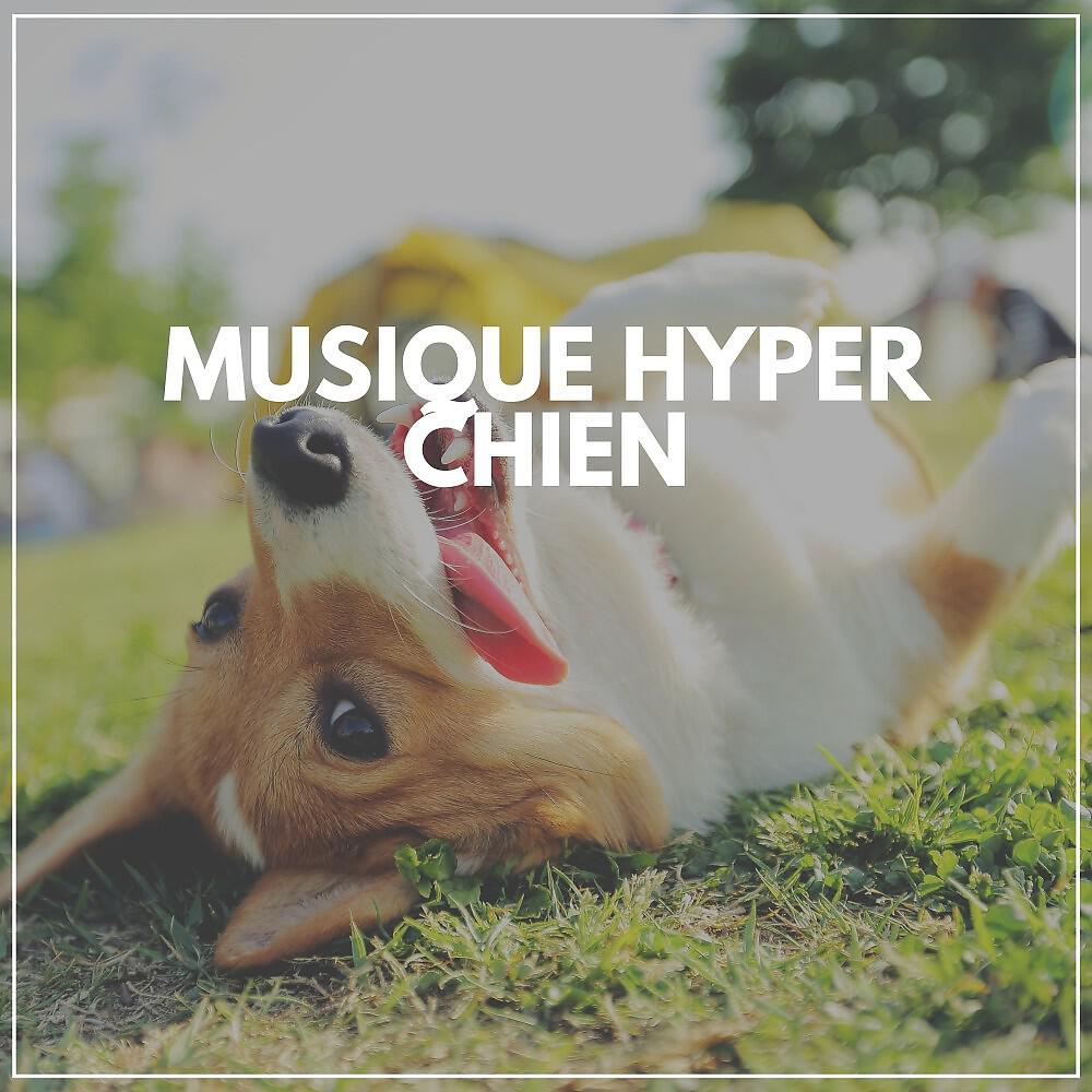 Релиз Musique hyper chien