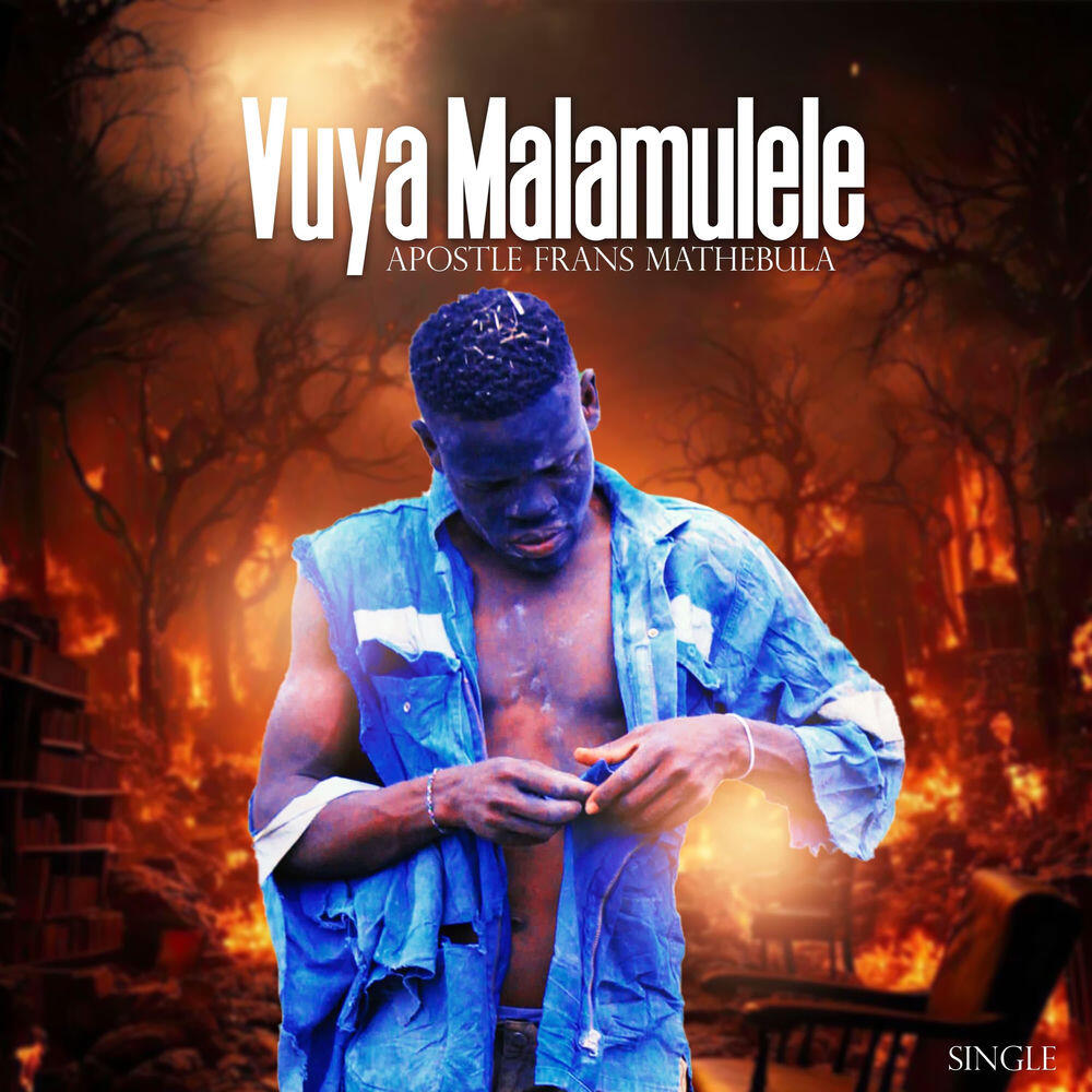 apostle f mathebula