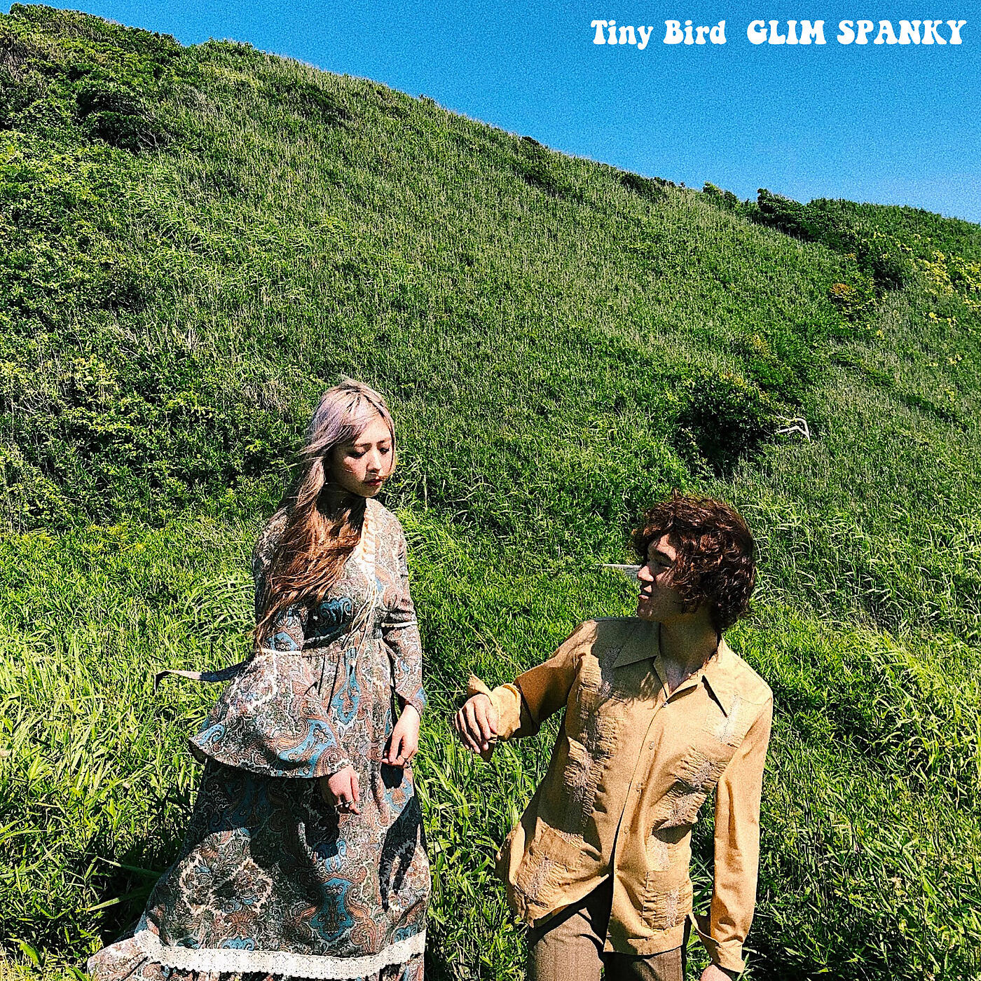 Релиз Tiny Bird