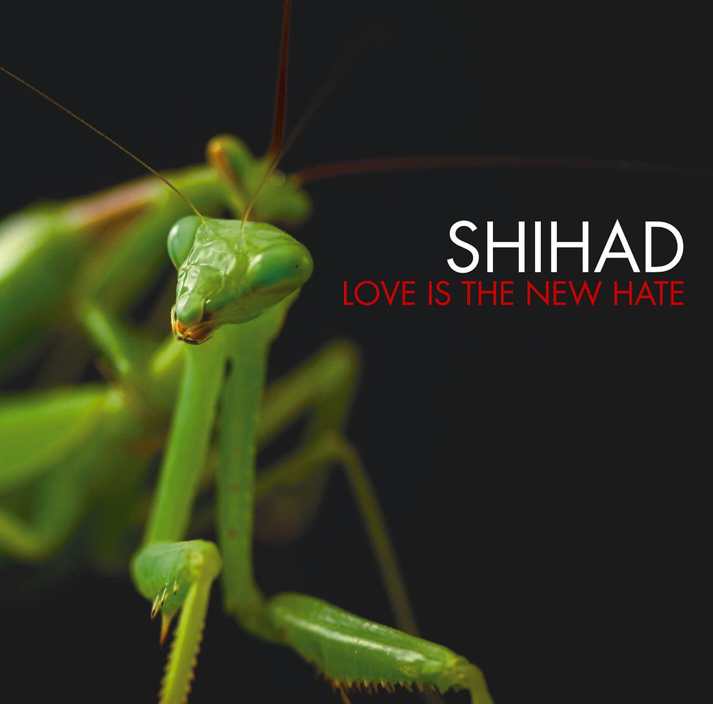 Релиз Love Is The New Hate