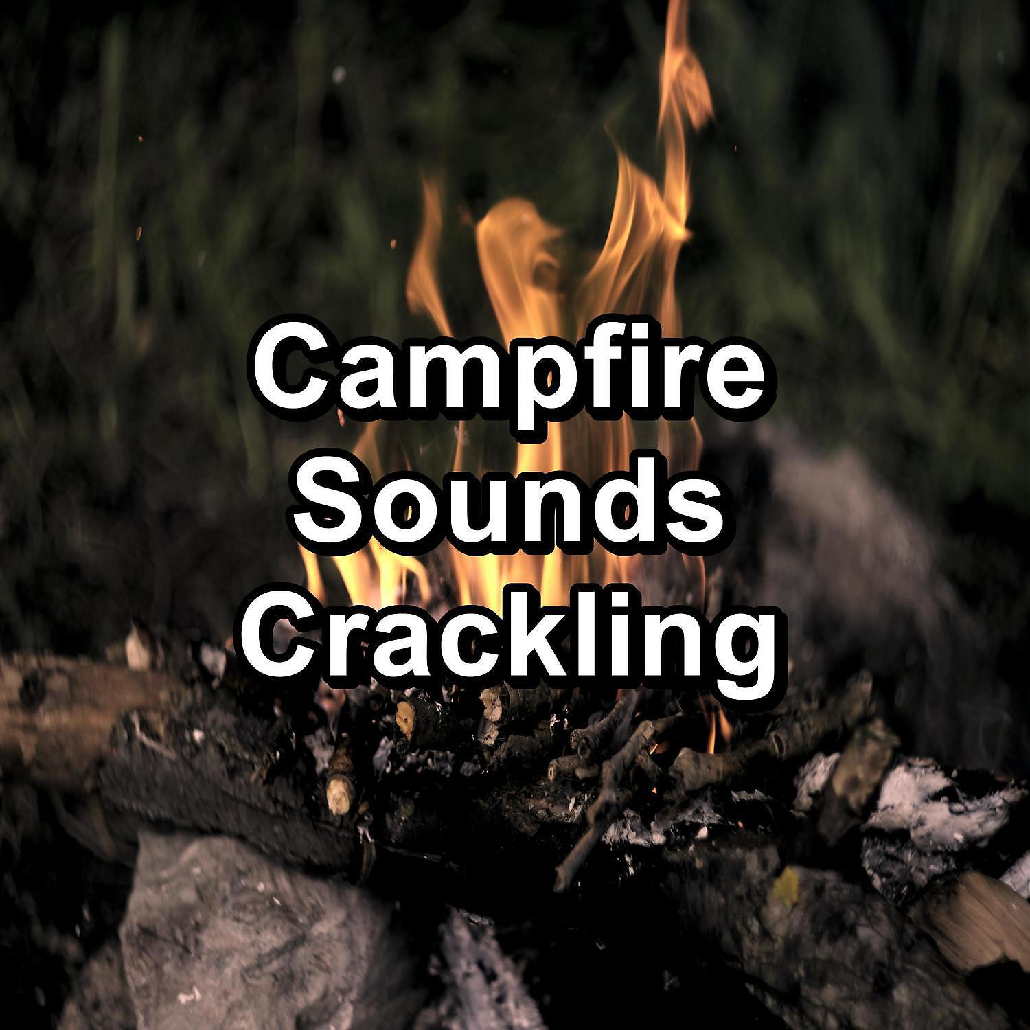 Релиз Campfire Sounds Crackling