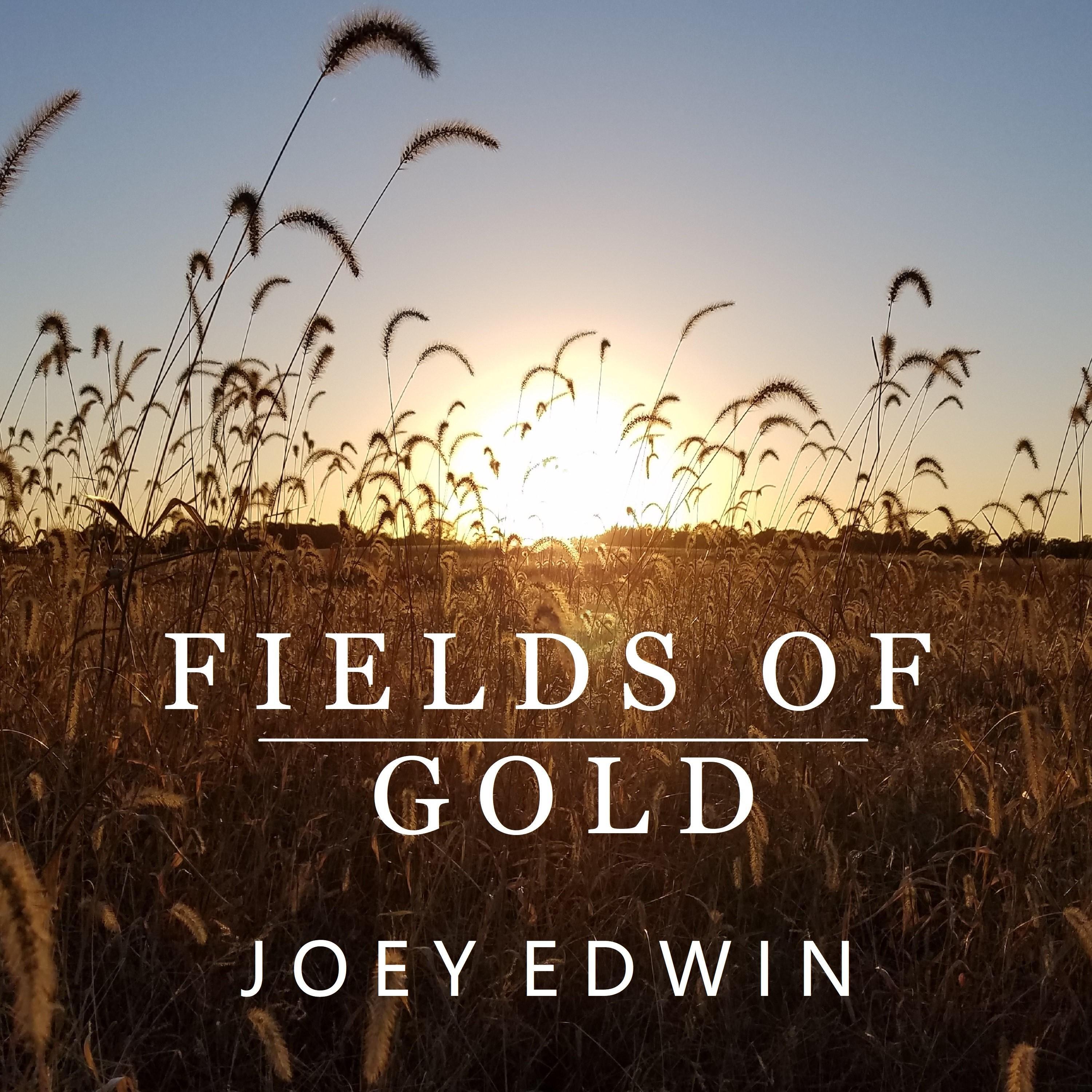 Релиз Fields of Gold (Instrumental Version)
