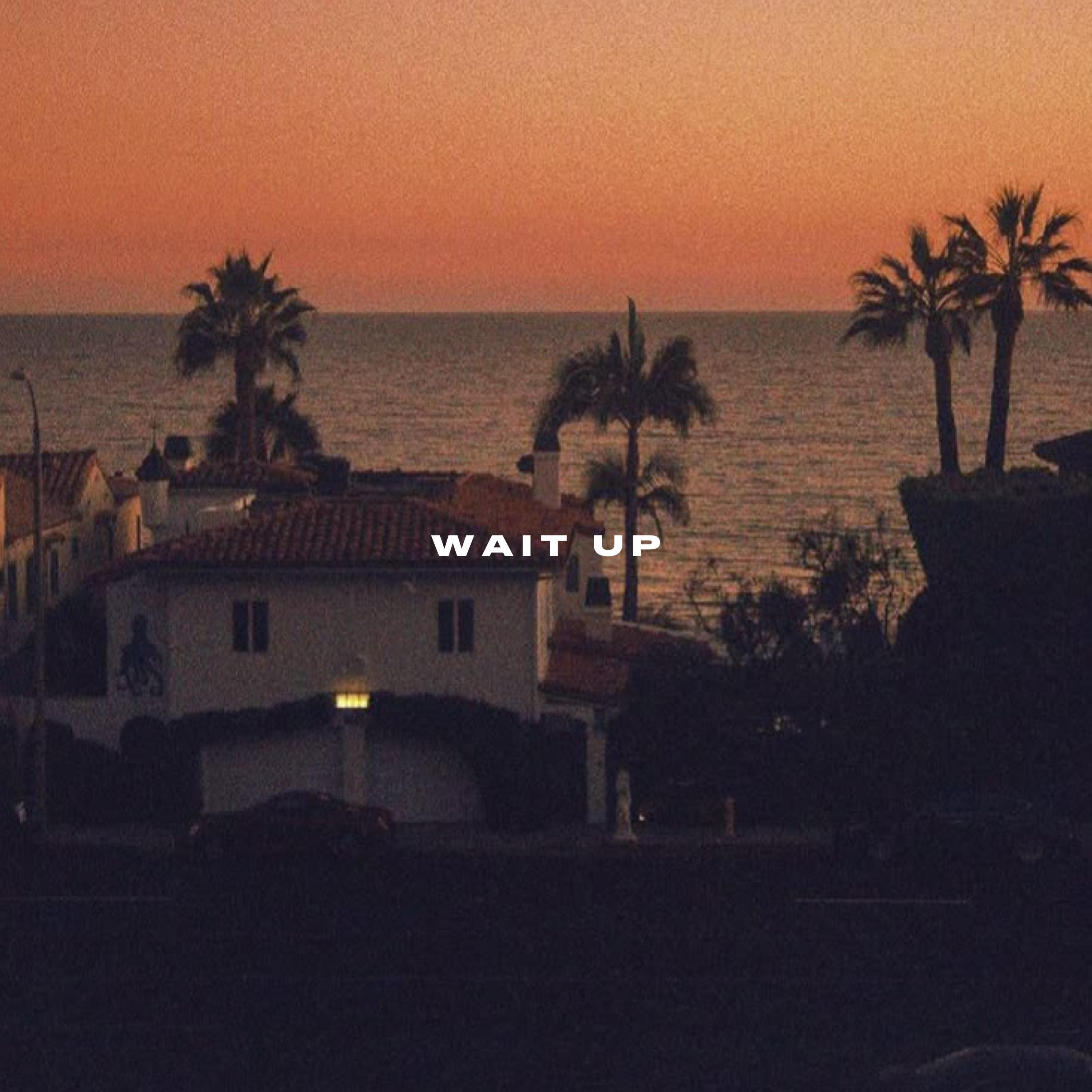 Релиз Wait Up