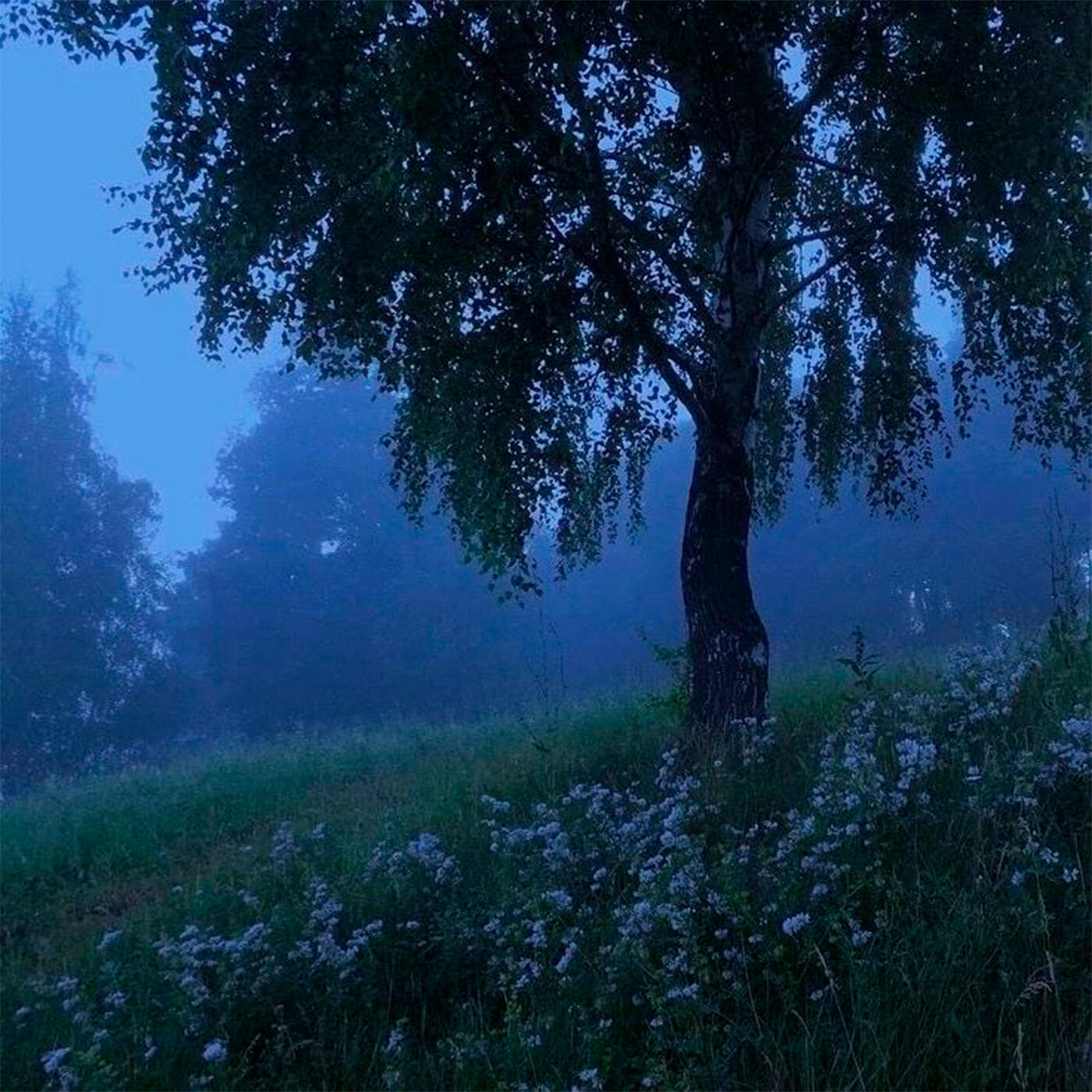 Обложка альбома