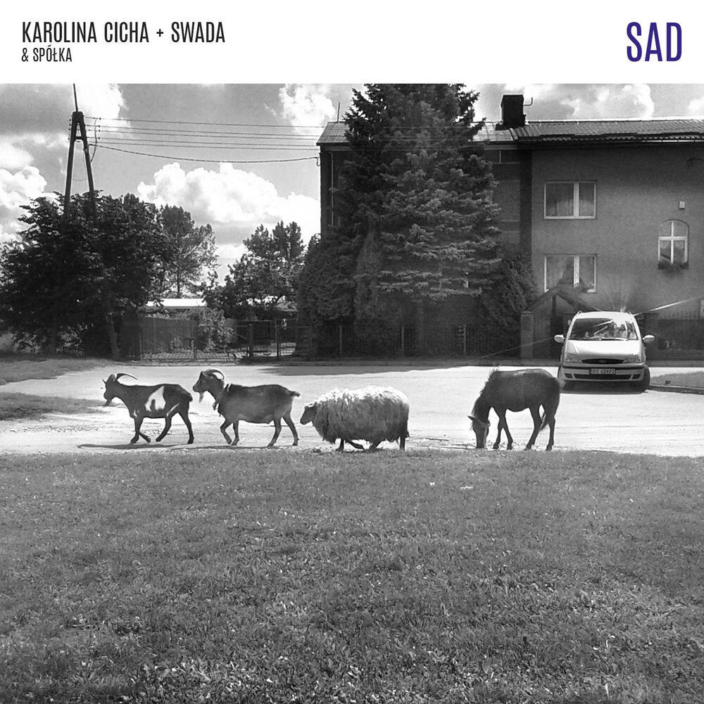 Релиз SAD