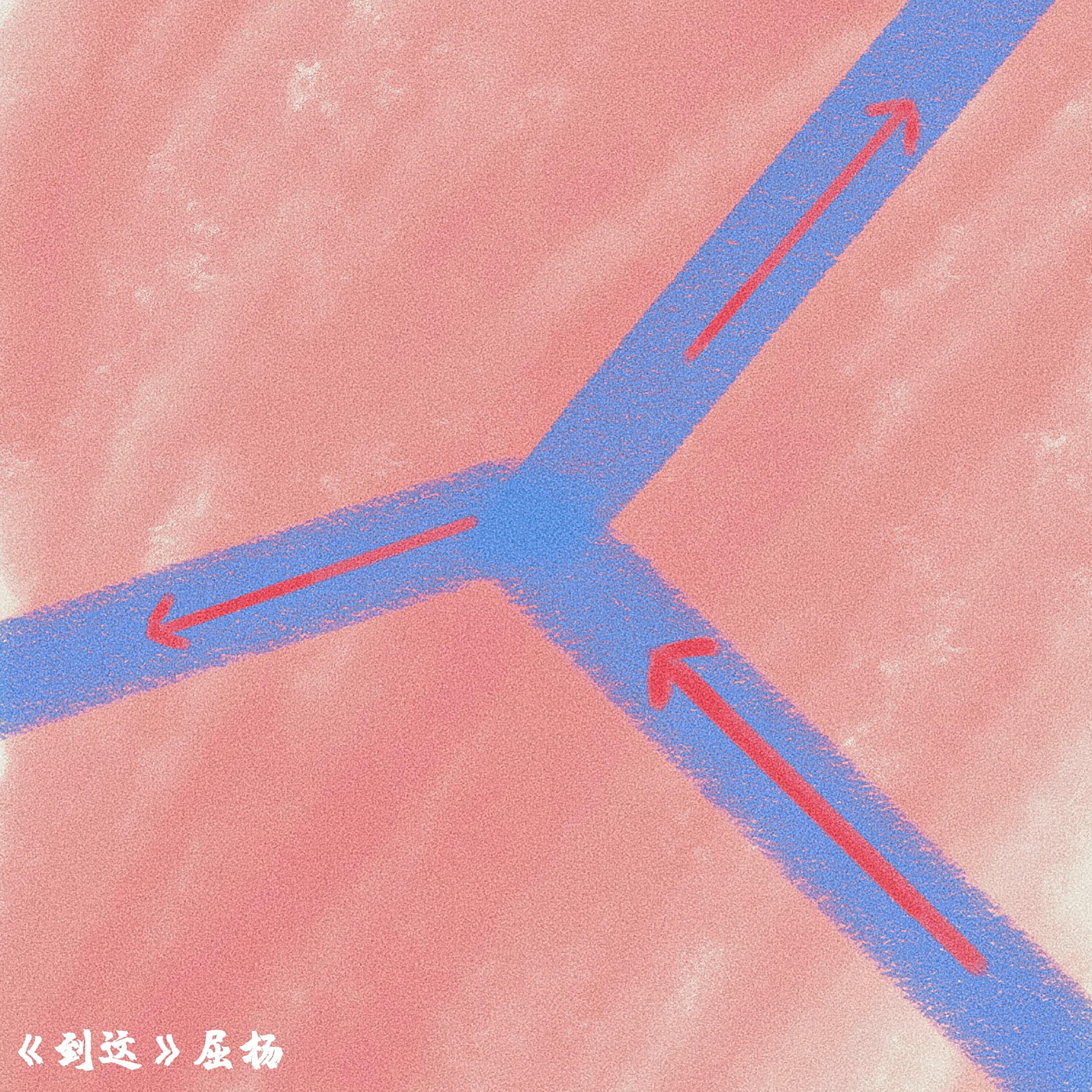 屈杨