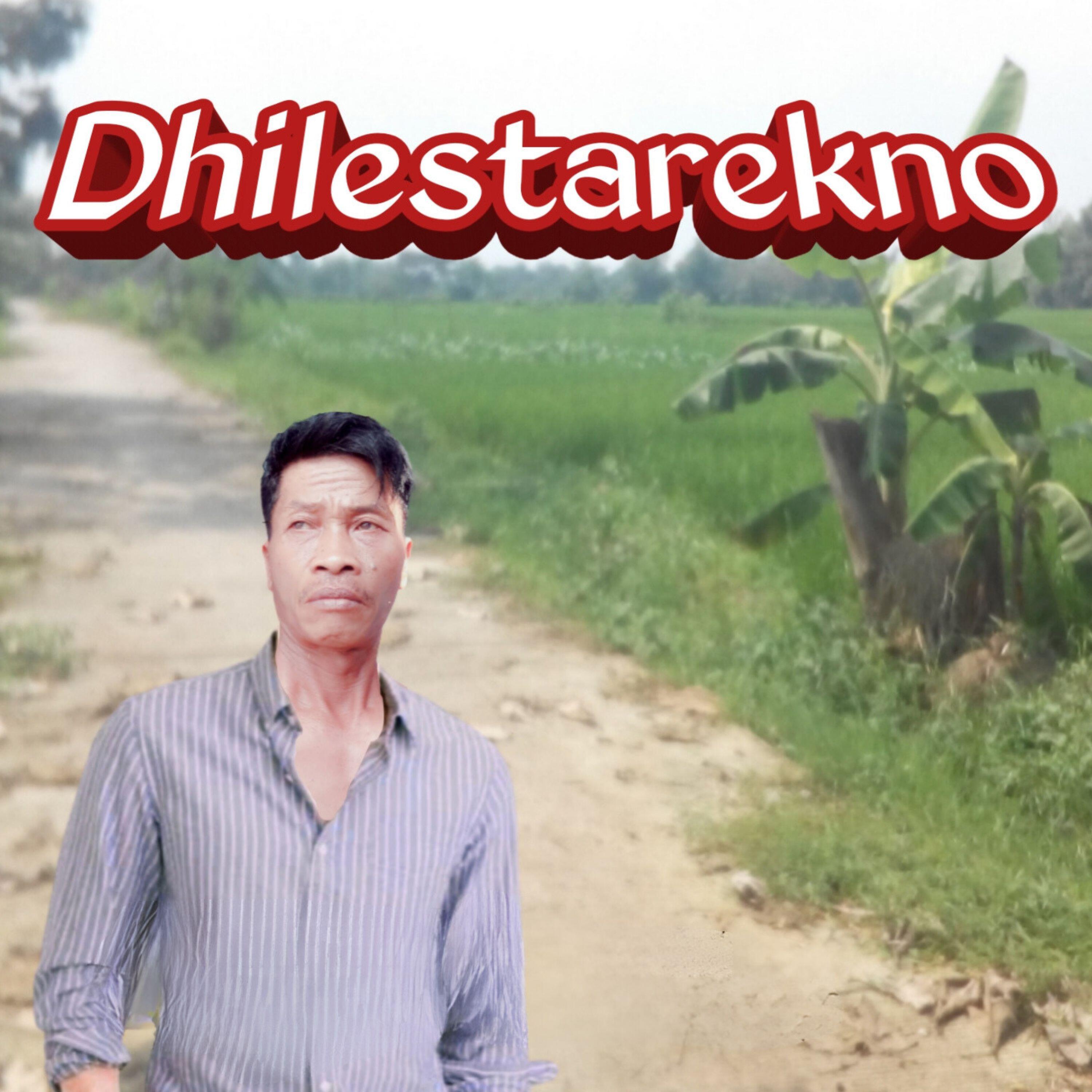 Релиз Dhilestarekno