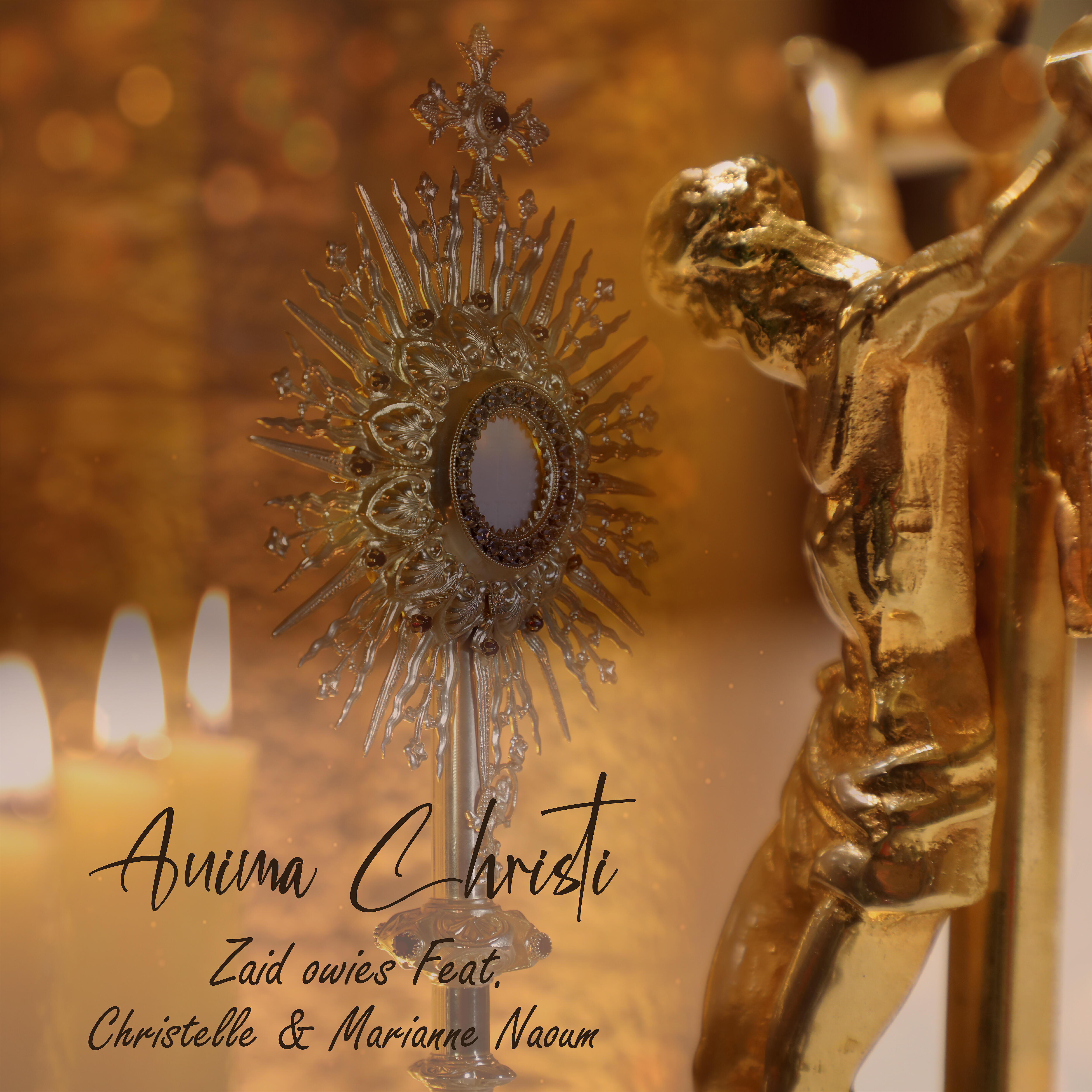 Релиз Anima Christi