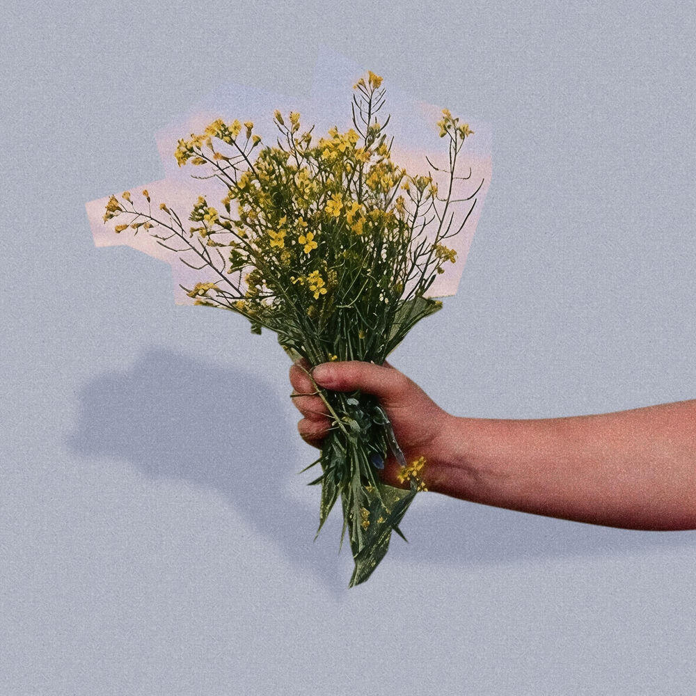 Релиз Swimmers