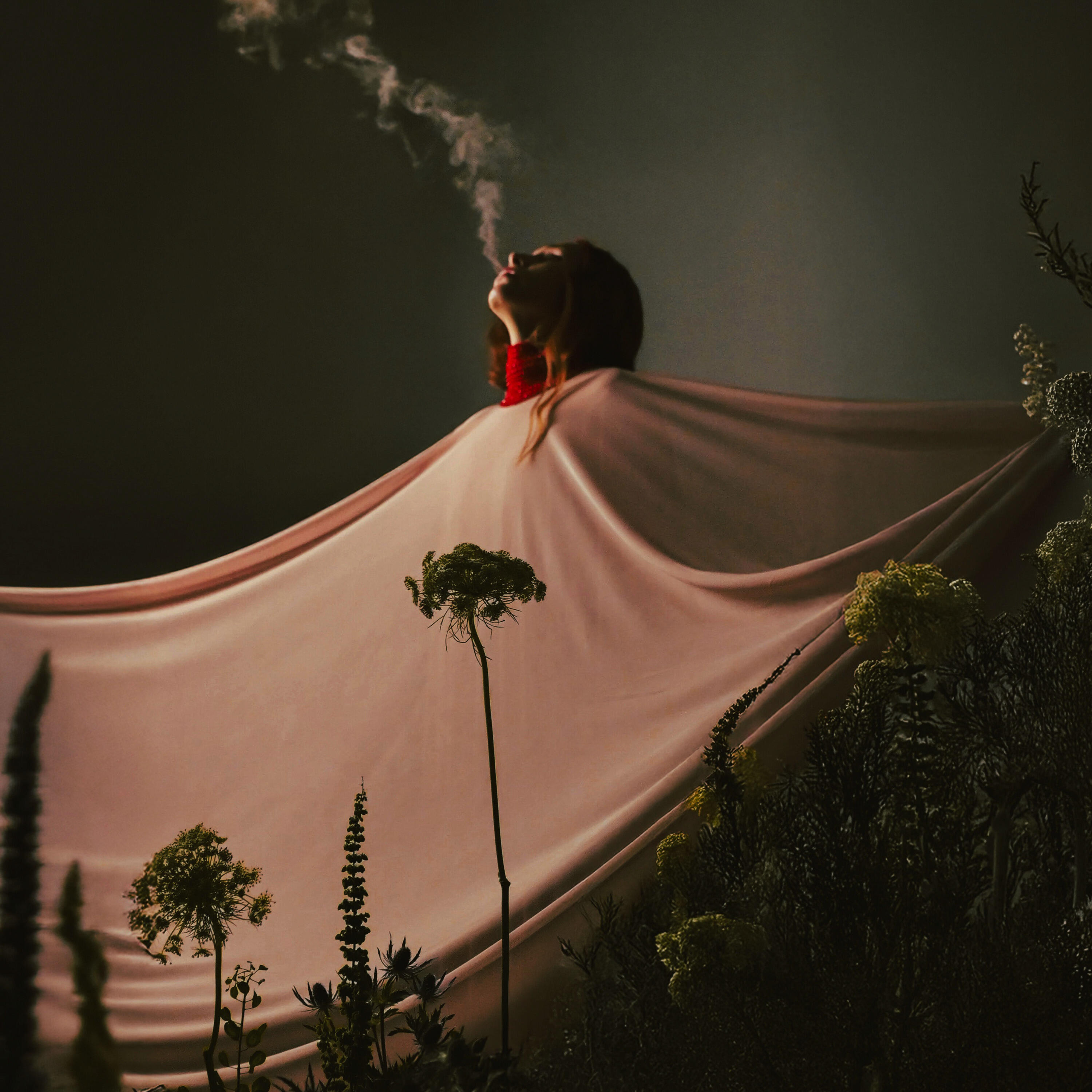 Релиз Jardín Secreto