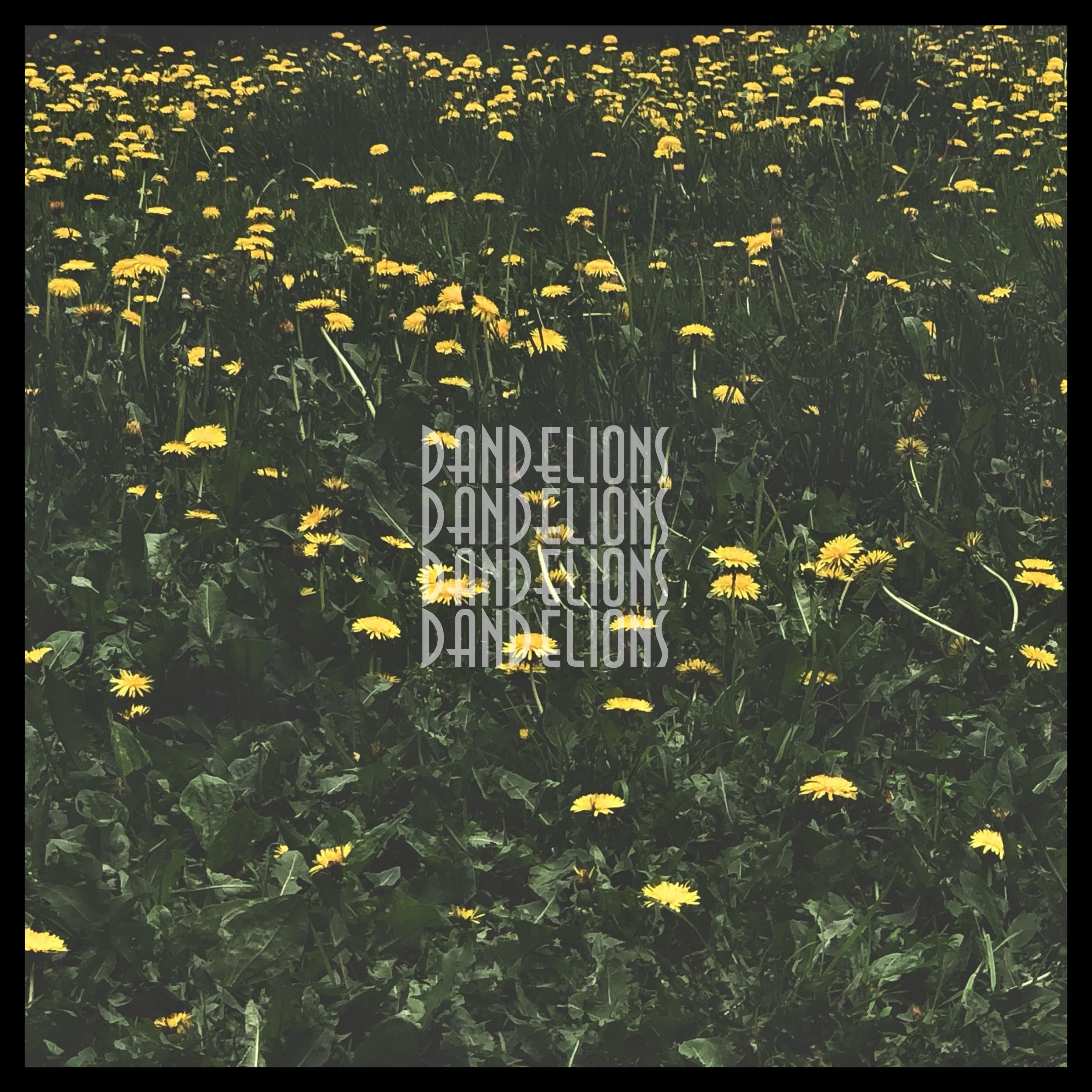 Релиз Dandelions