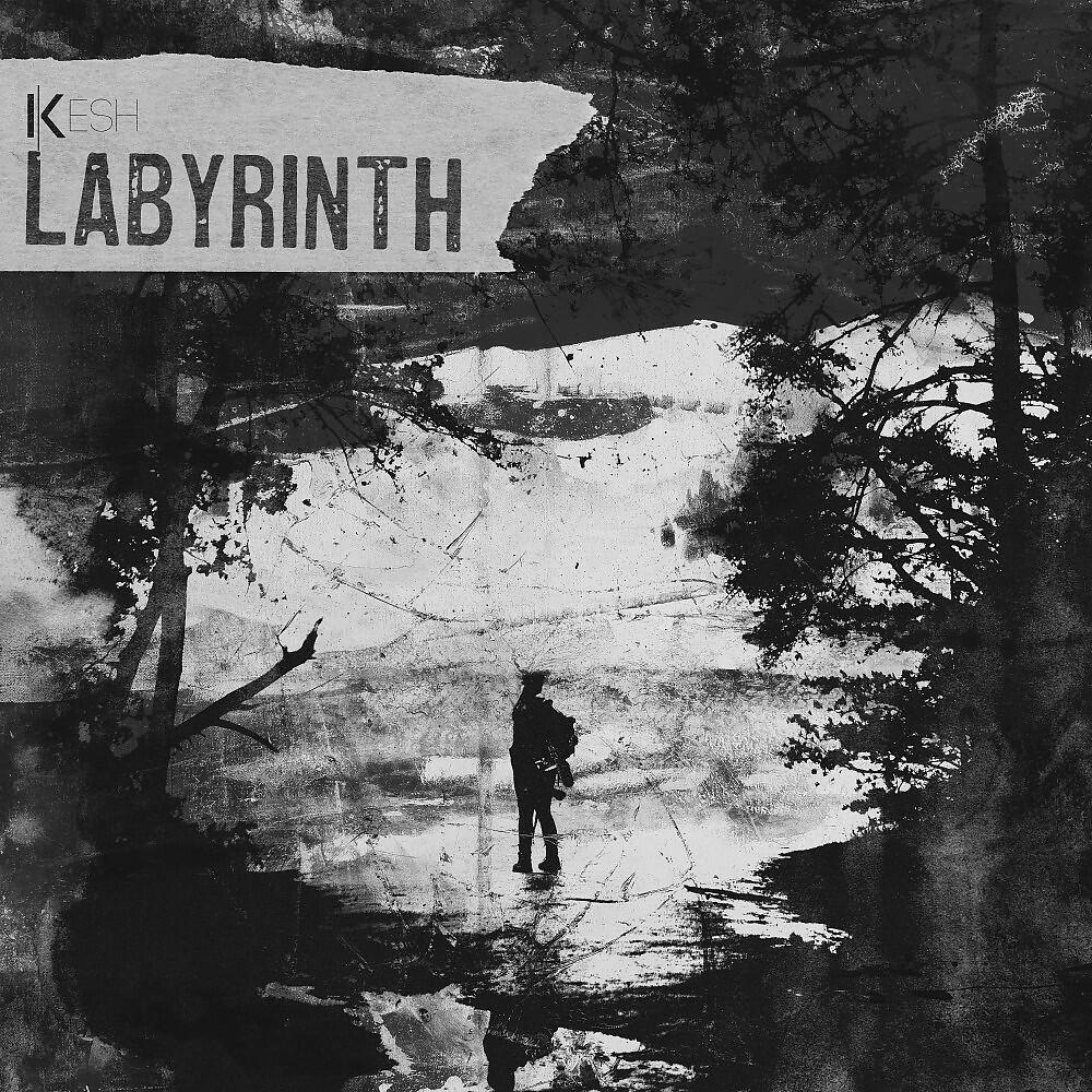 Релиз Labyrinth