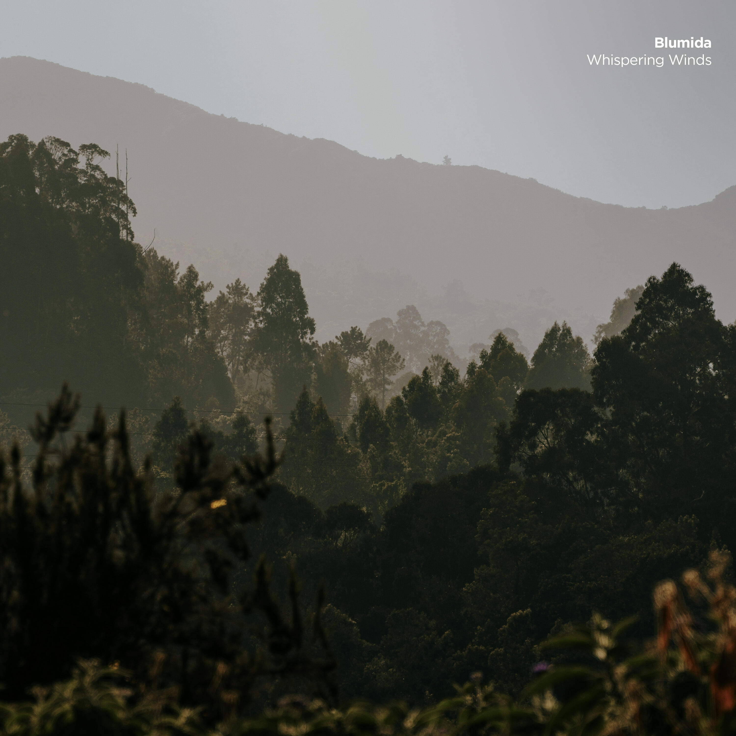 Релиз Whispering Winds