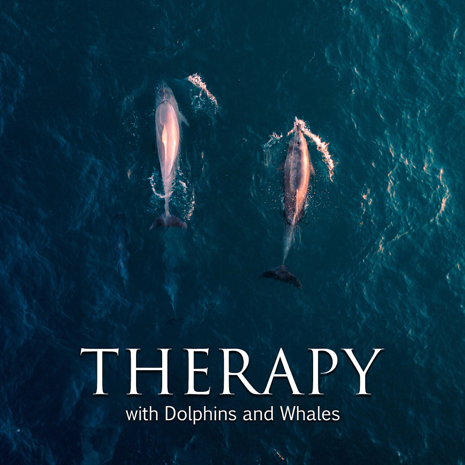 Релиз Therapy with Dolphins and Whales: Calm and Deep Underwater Sounds
