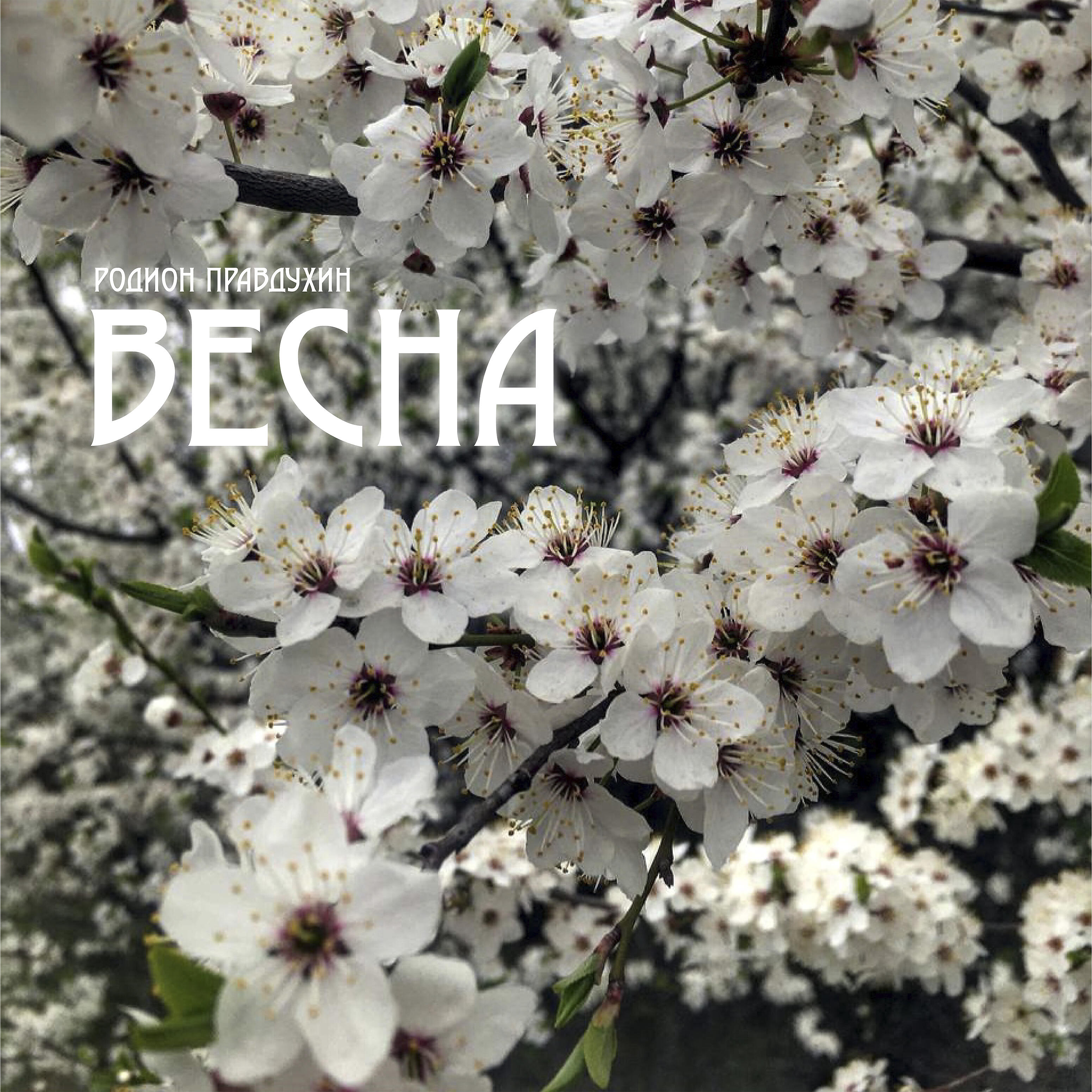 Релиз Весна
