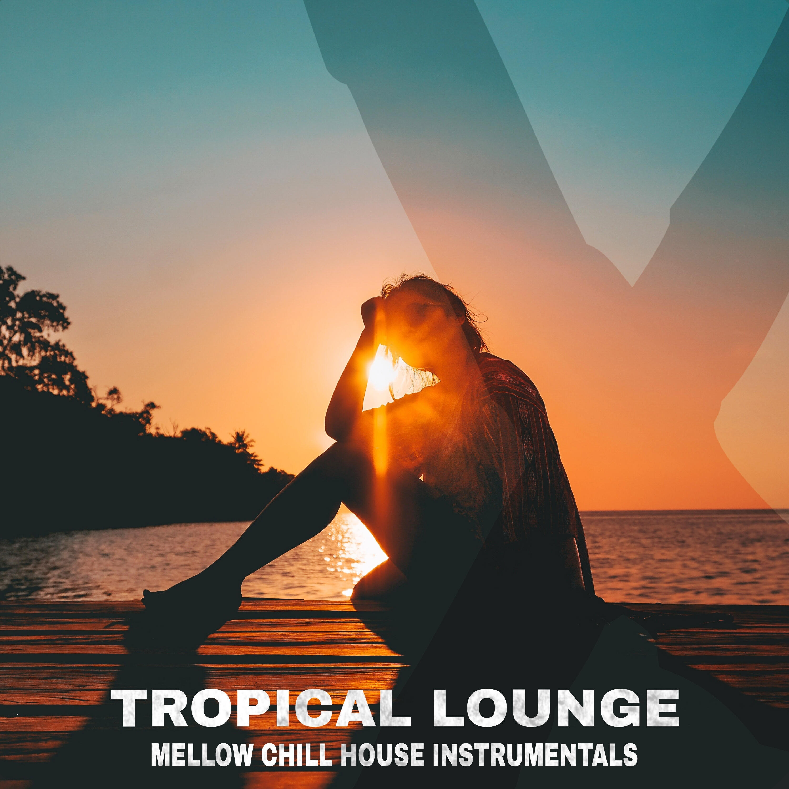 Релиз Tropical Lounge Mellow Chill House Instrumentals