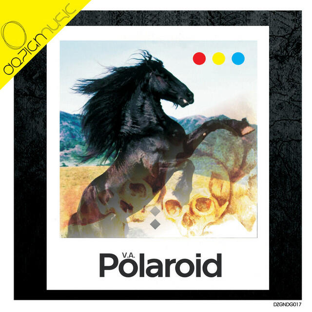 Релиз Polaroid