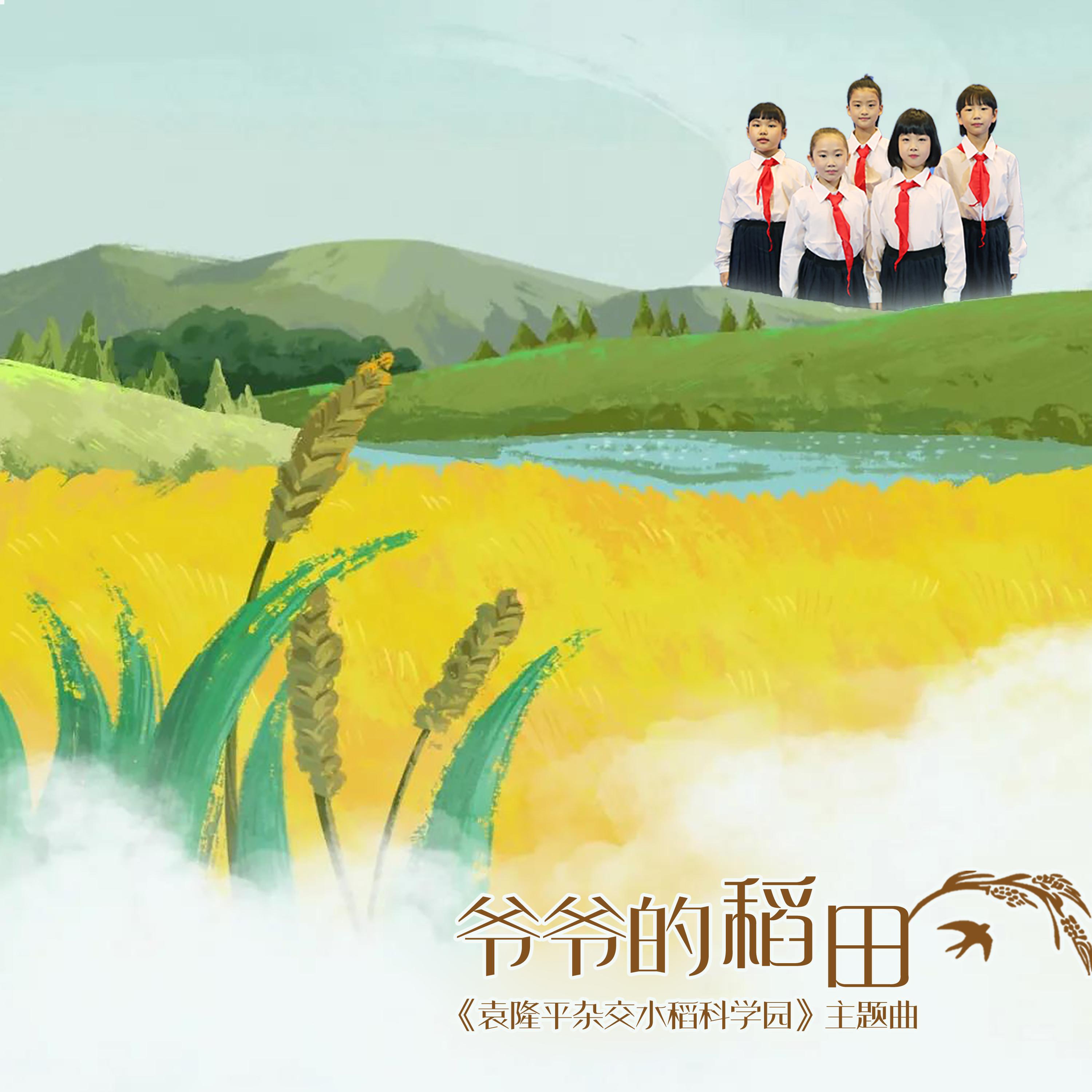 Релиз 爷爷的稻田