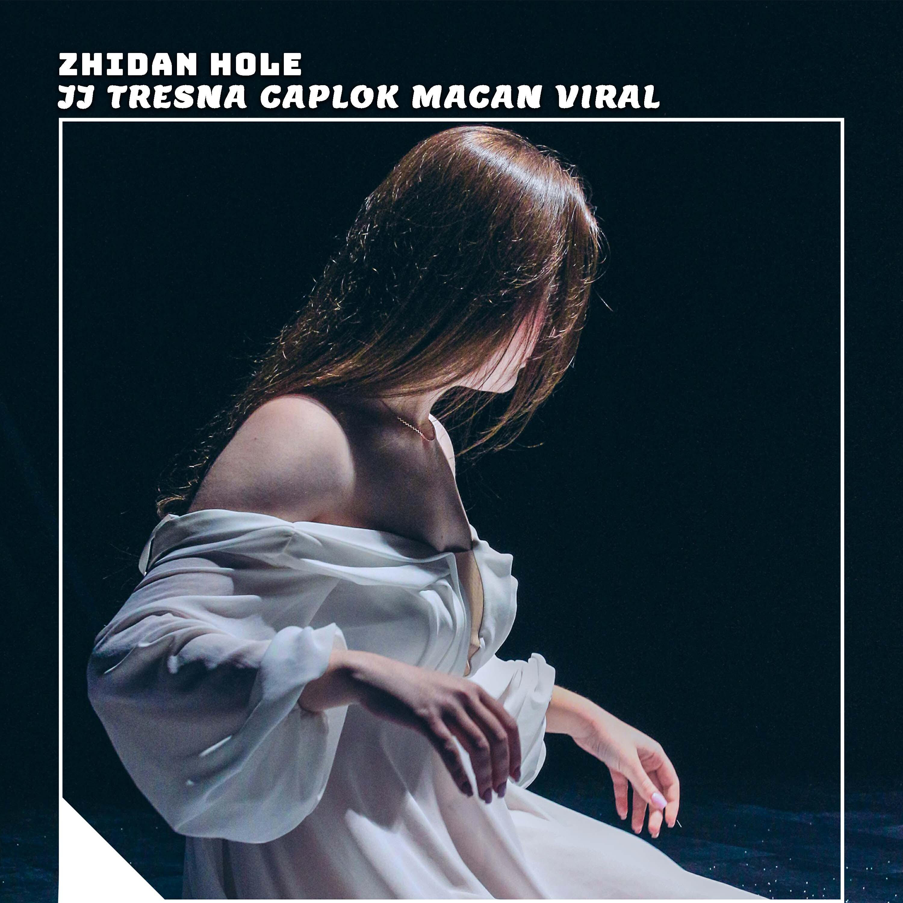 Релиз Jj Tresna Caplok Macan Viral (Remix)
