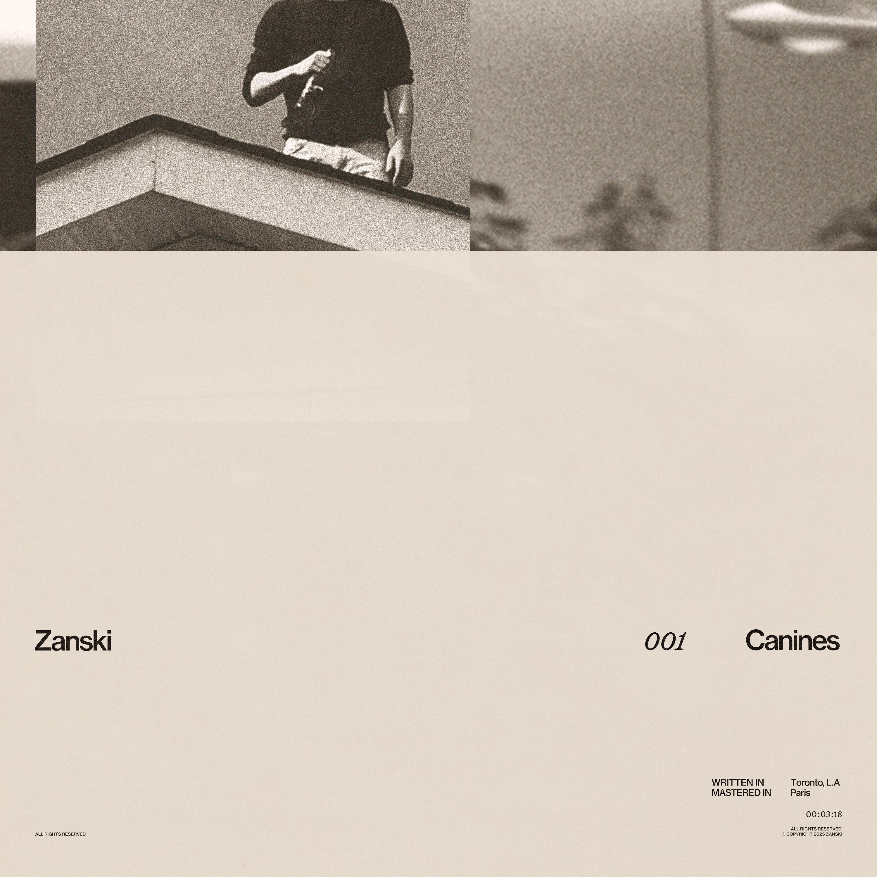 Релиз Canines