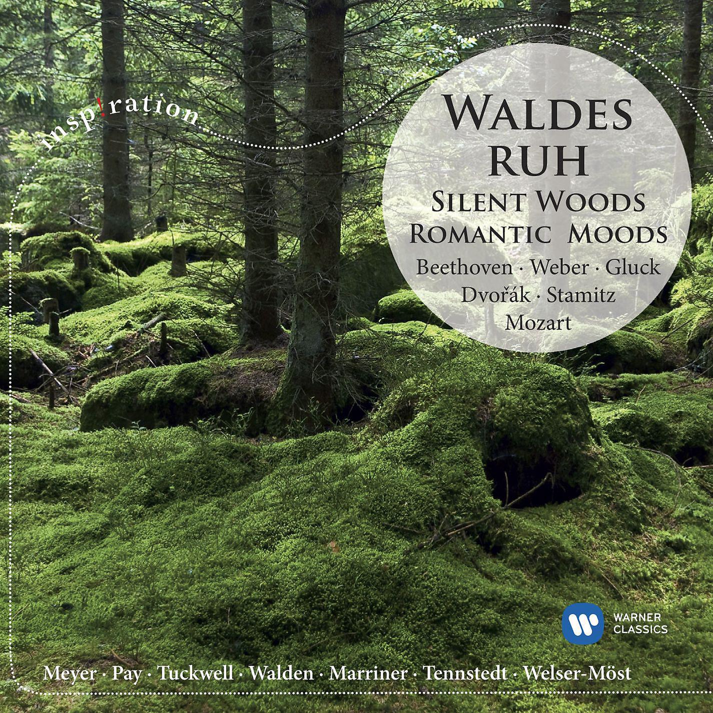 Постер альбома Waldesruh / Silent Woods: Romantic Moods