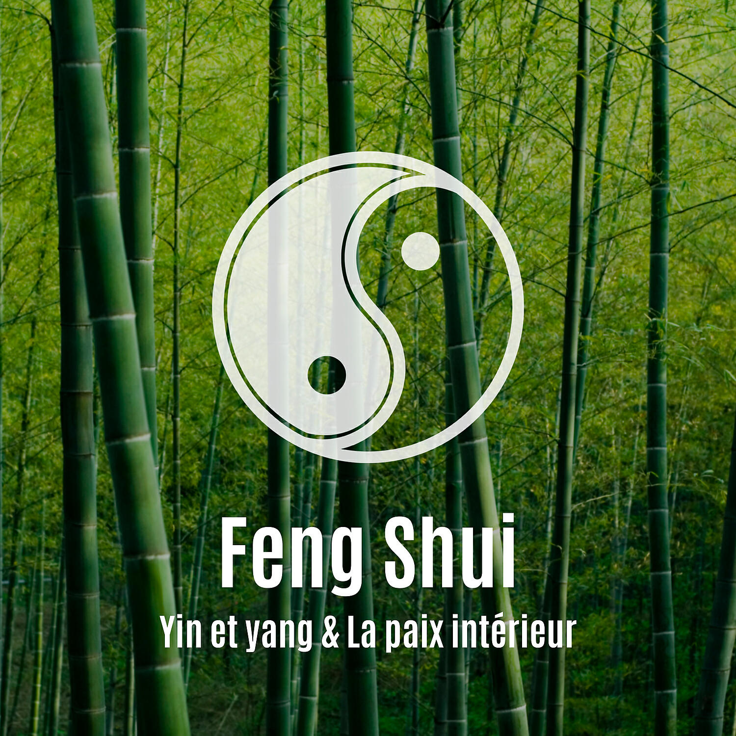 Релиз Feng Shui: Yin et yang & La paix intérieur
