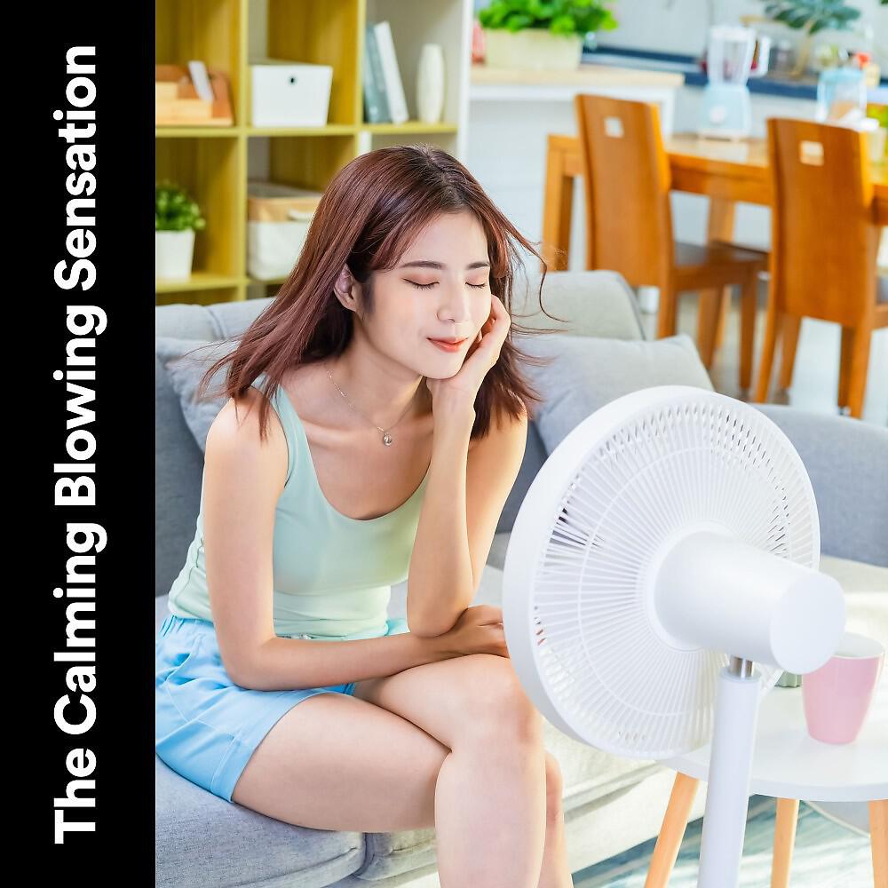 Релиз The Calming Blowing Sensation