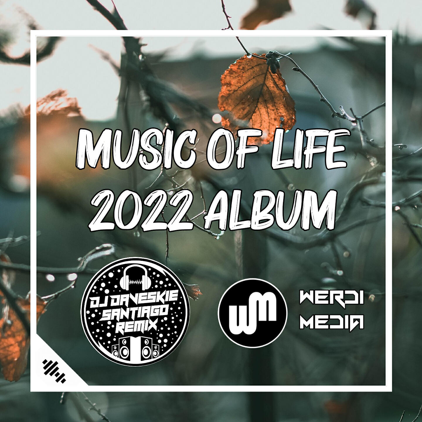 Релиз Music Of Life 2022