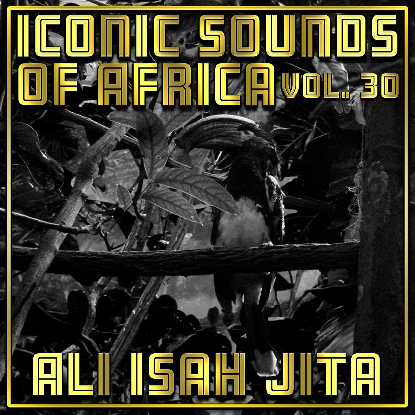 Релиз Iconic Sounds Of Africa - Vol. 30