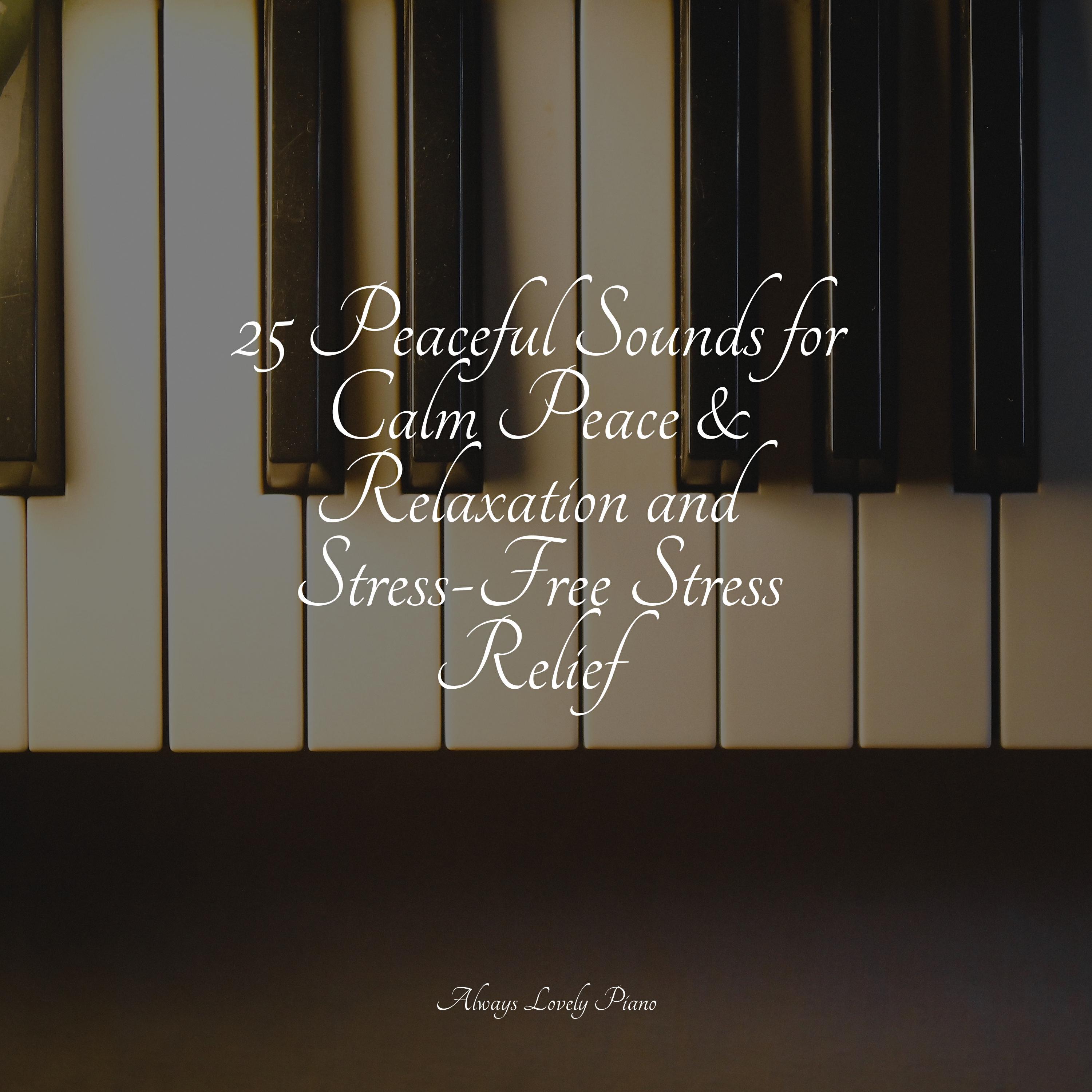 Релиз 25 Peaceful Sounds for Calm Peace & Relaxation and Stress-Free Stress Relief