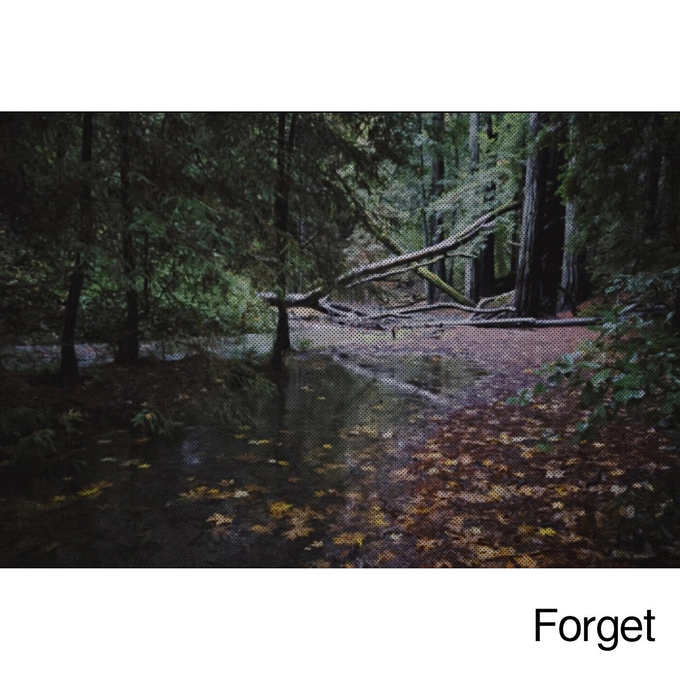 Релиз Forget