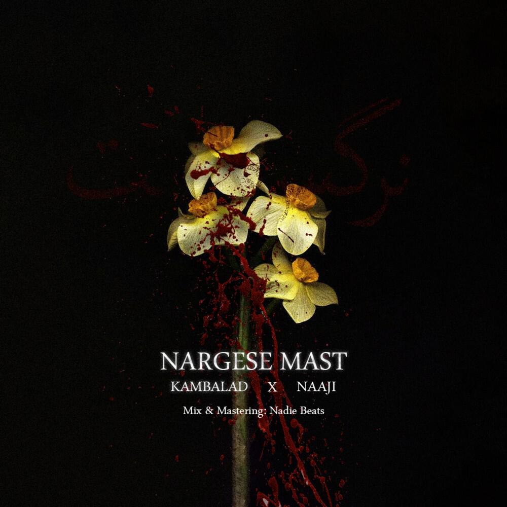 Релиз Nargese Mast