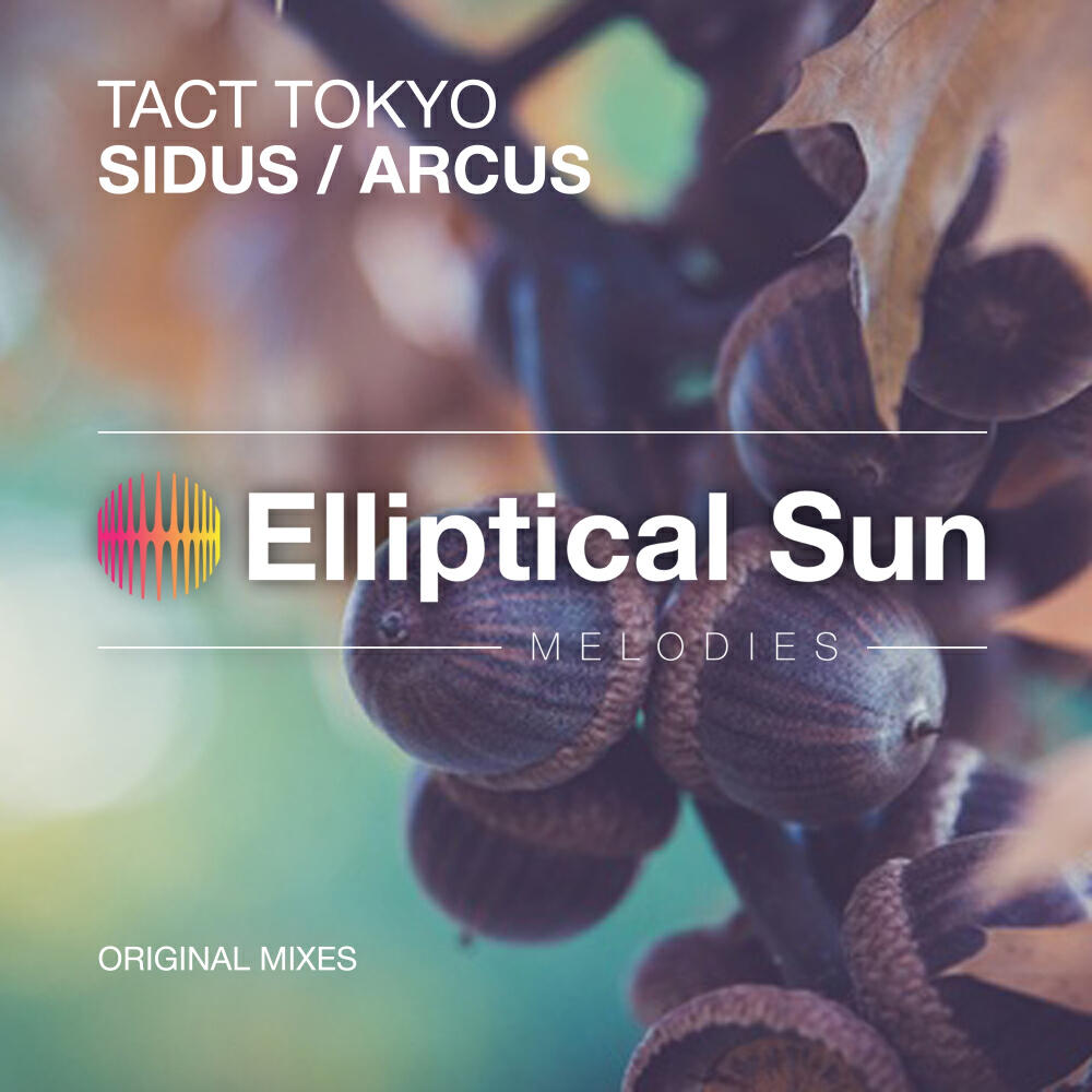 Постер альбома Arcus / Sidus