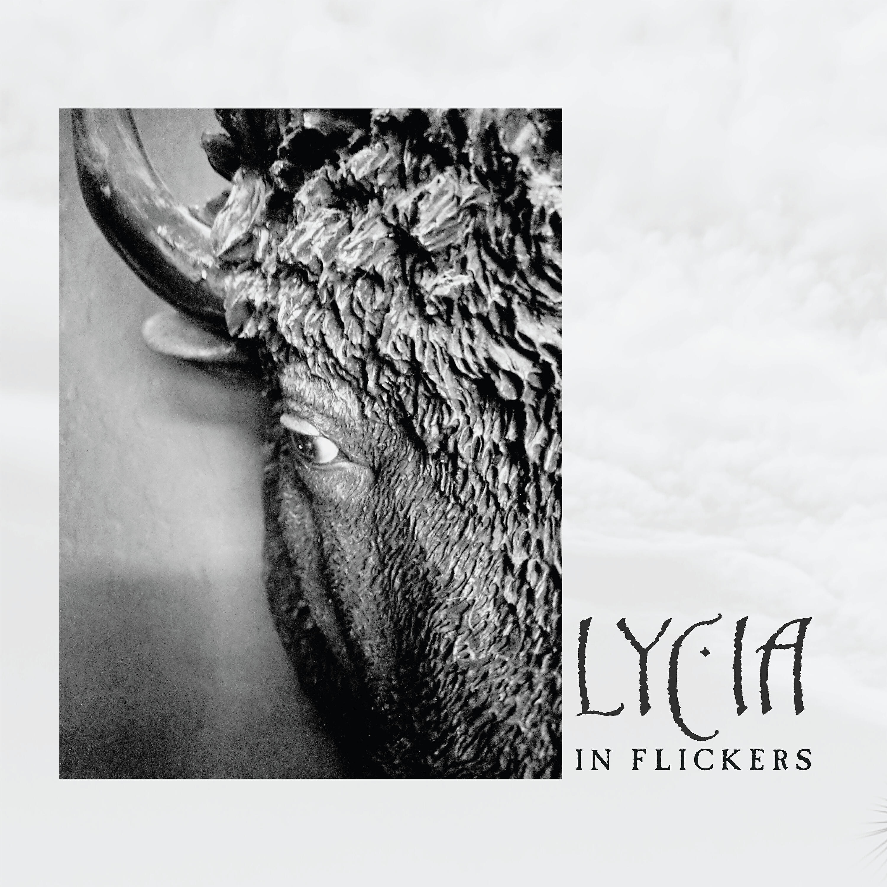 Постер альбома In Flickers