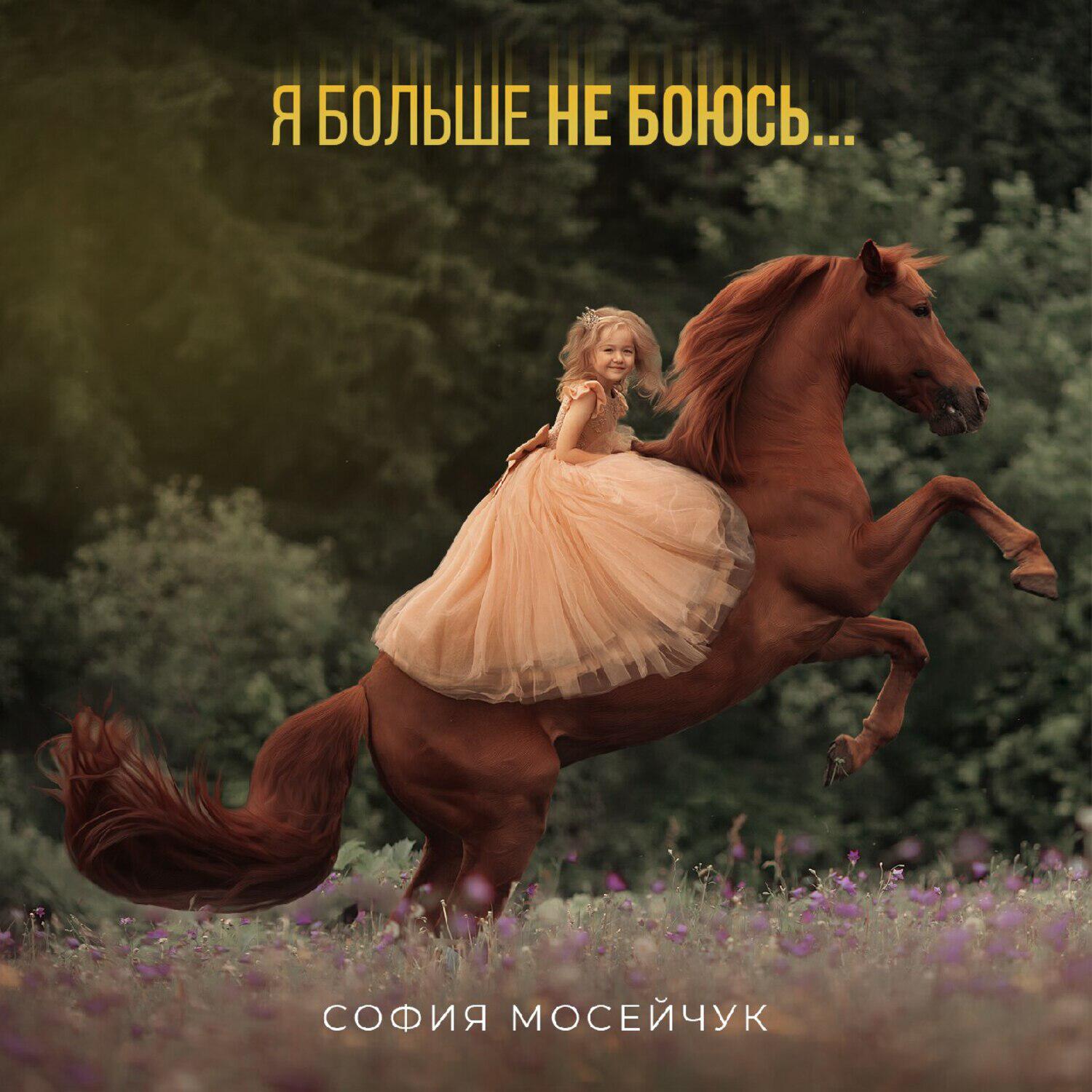 Постер альбома Я больше не боюсь...